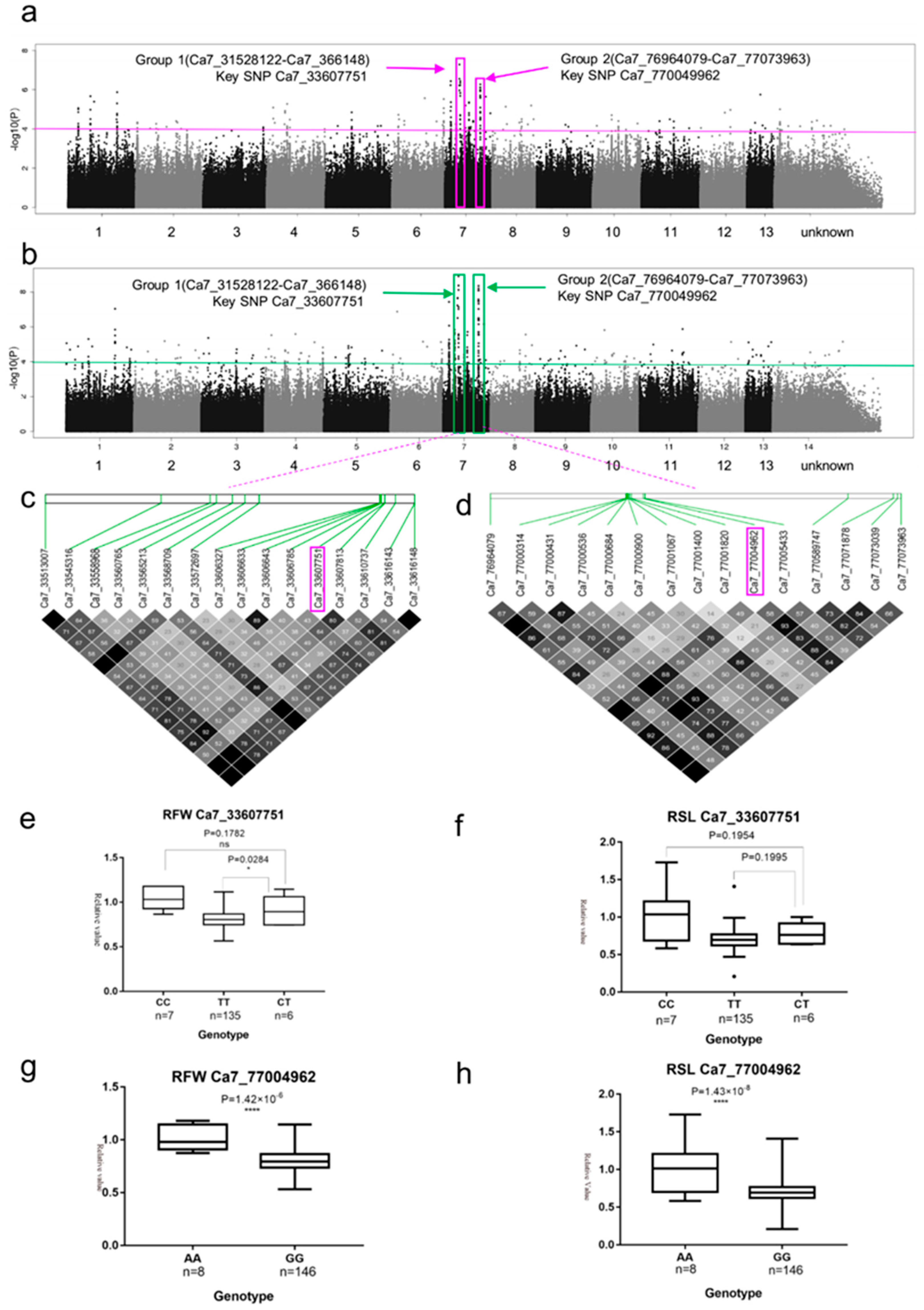 Ijms 20 02168 g003 Ijms 20 02168 g003