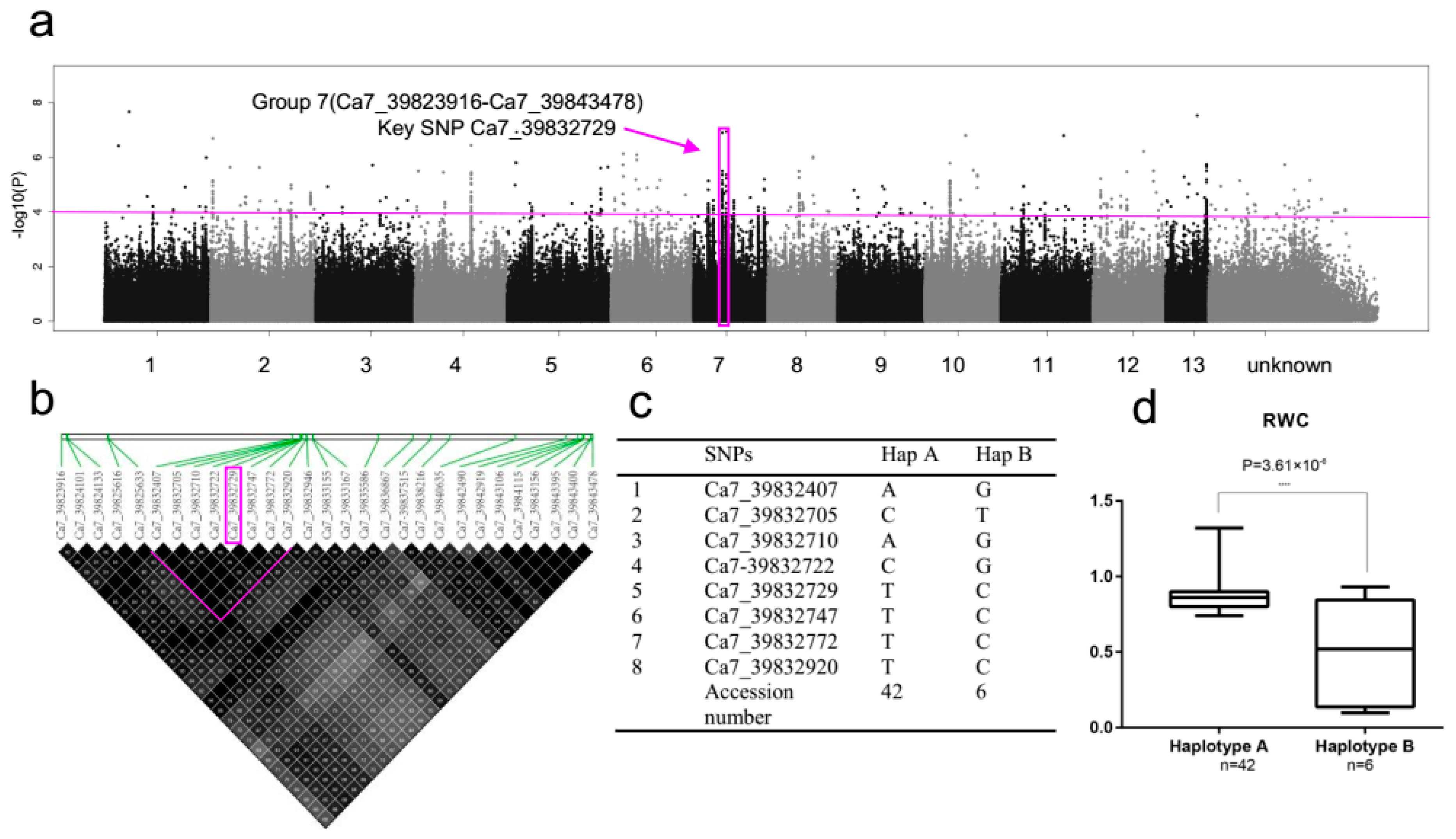 Ijms 20 02168 g005 Ijms 20 02168 g005