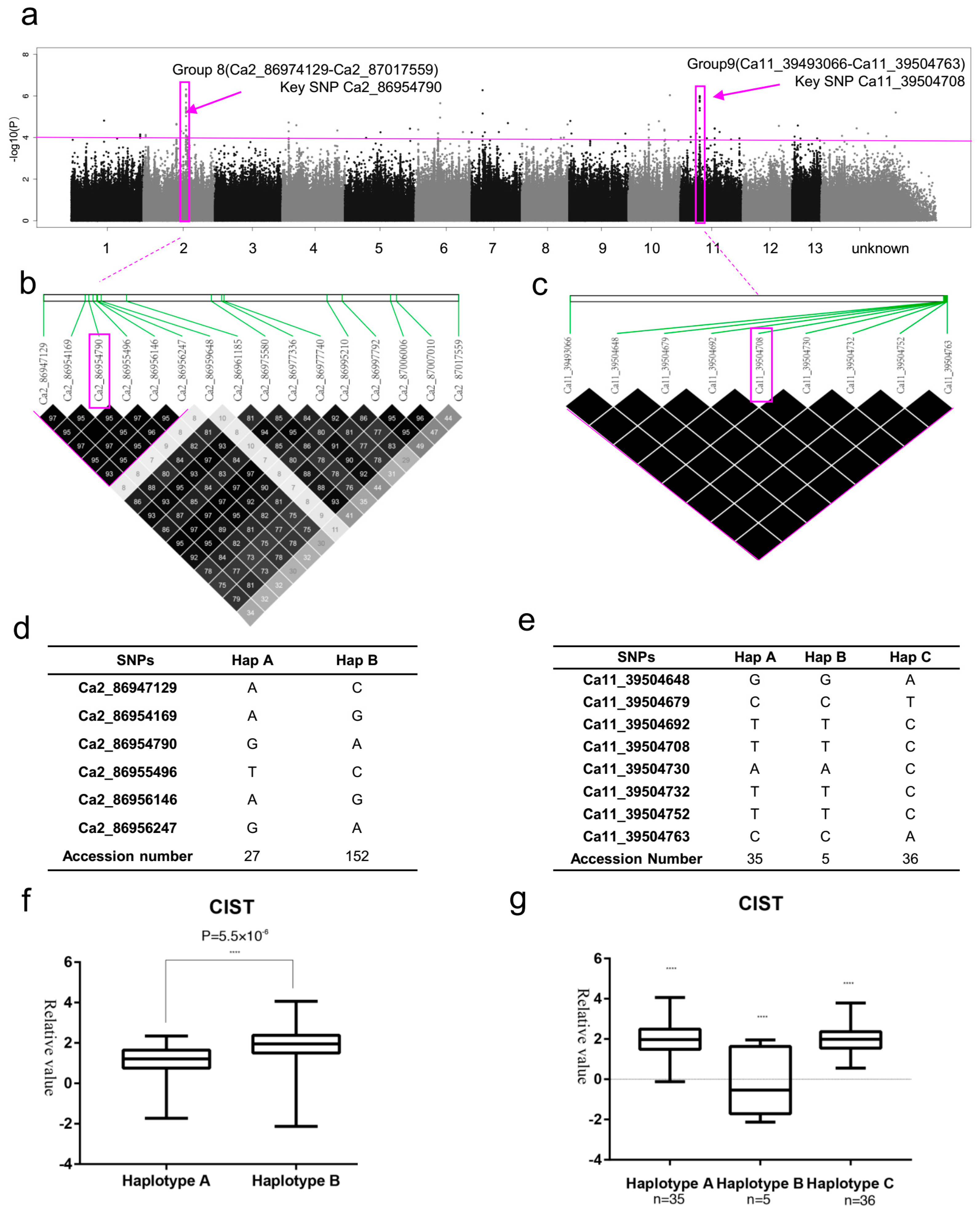Ijms 20 02168 g006 Ijms 20 02168 g006