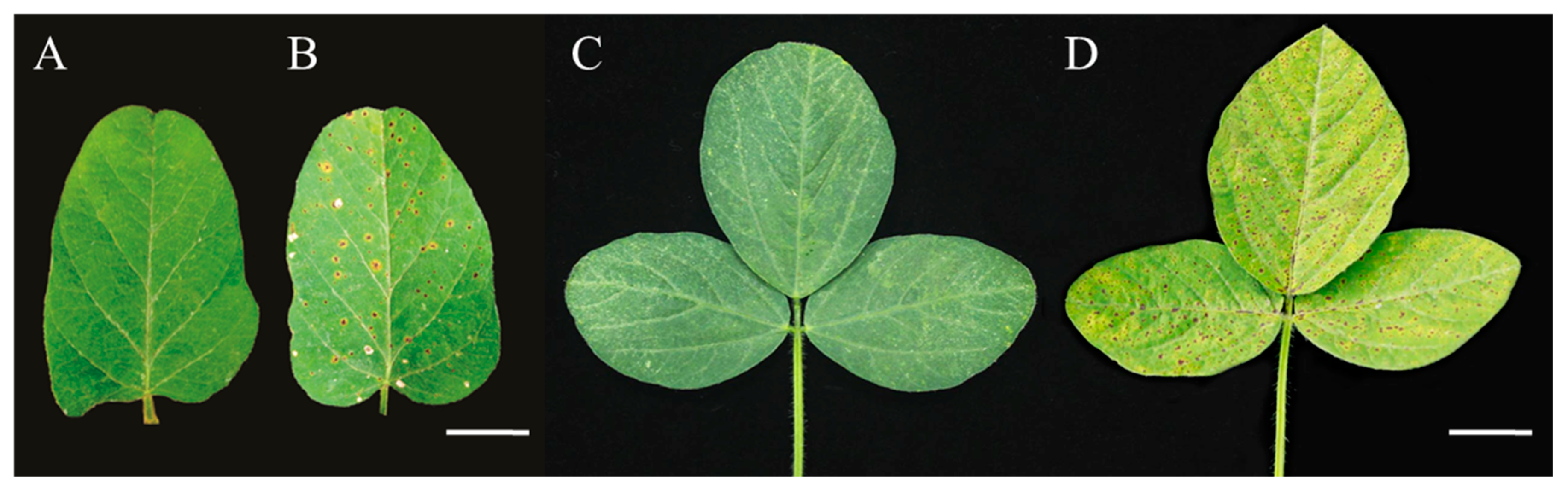 Ijms 20 02193 g001 Ijms 20 02193 g001