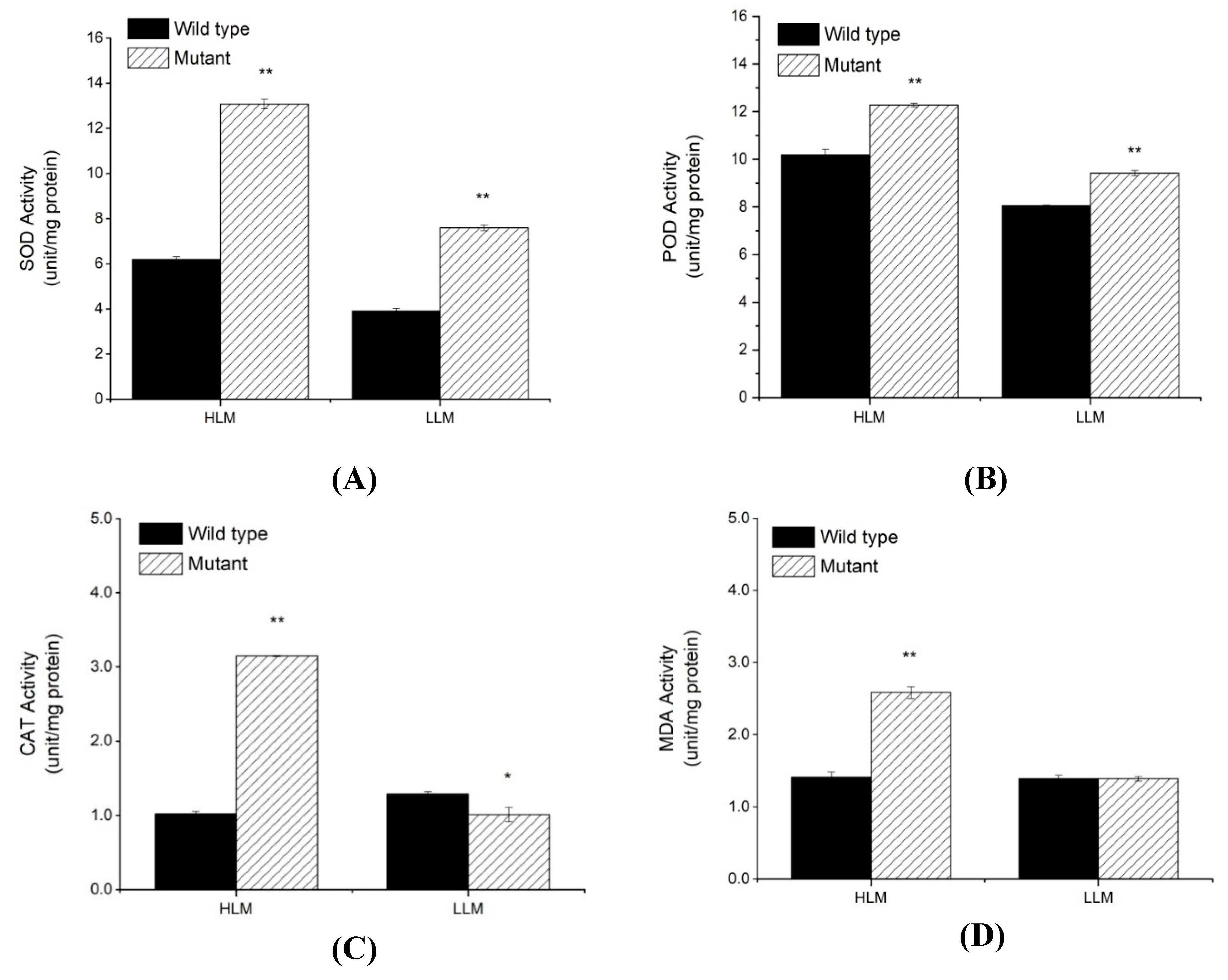 Ijms 20 02193 g005 Ijms 20 02193 g005
