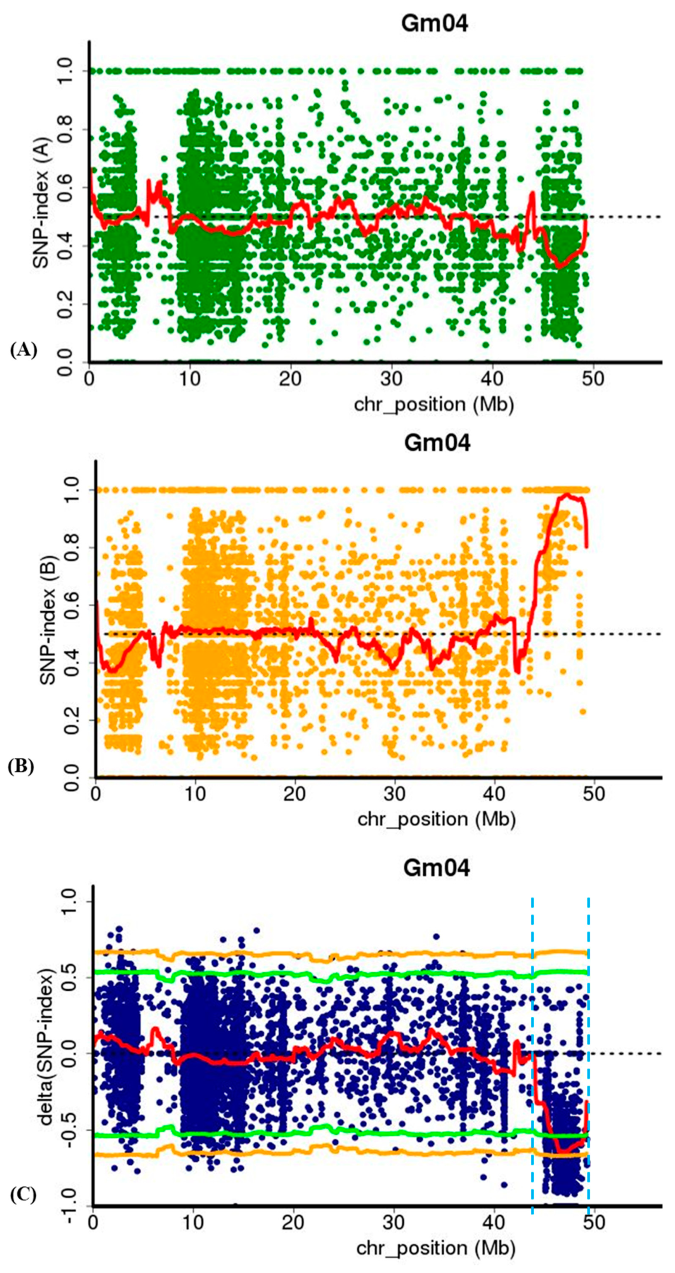 Ijms 20 02193 g006 Ijms 20 02193 g006