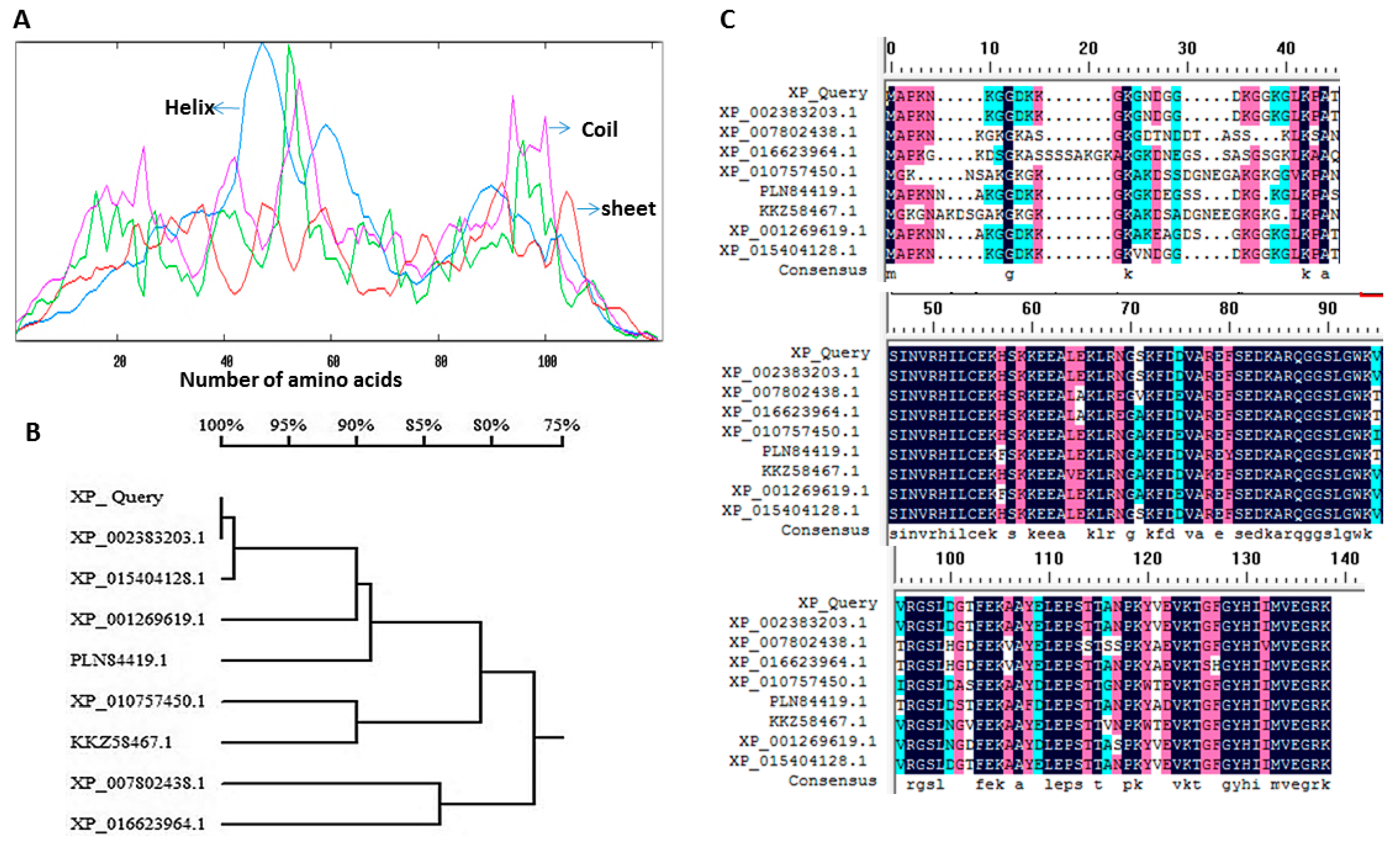 Ijms 20 02206 g001 Ijms 20 02206 g001