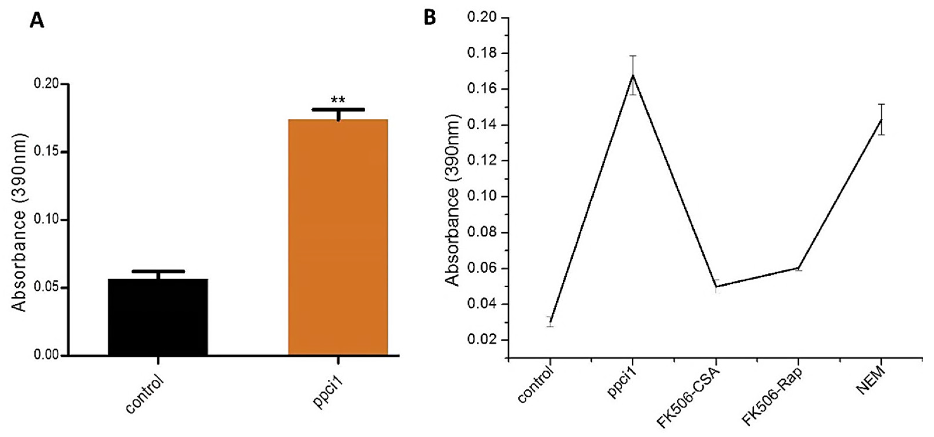 Ijms 20 02206 g004 Ijms 20 02206 g004