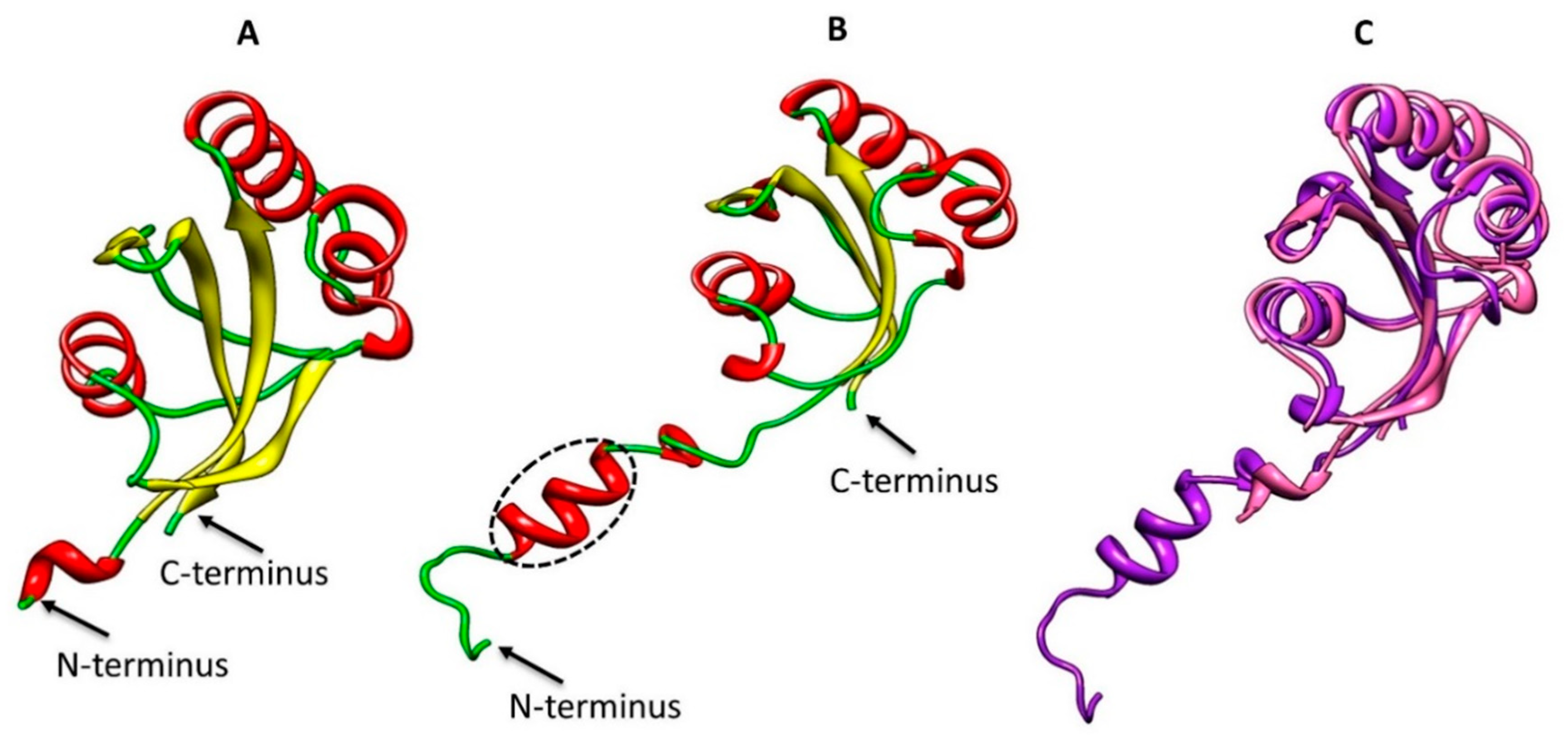 Ijms 20 02206 g005 Ijms 20 02206 g005