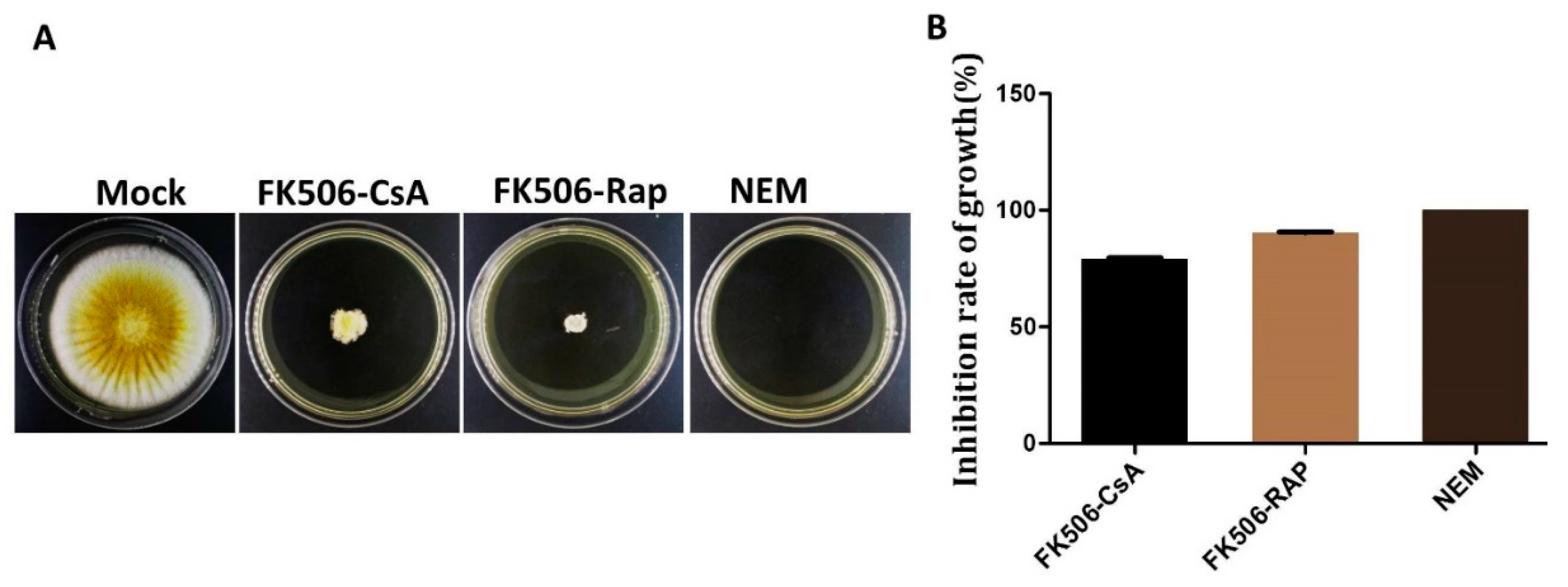 Ijms 20 02206 g007 Ijms 20 02206 g007