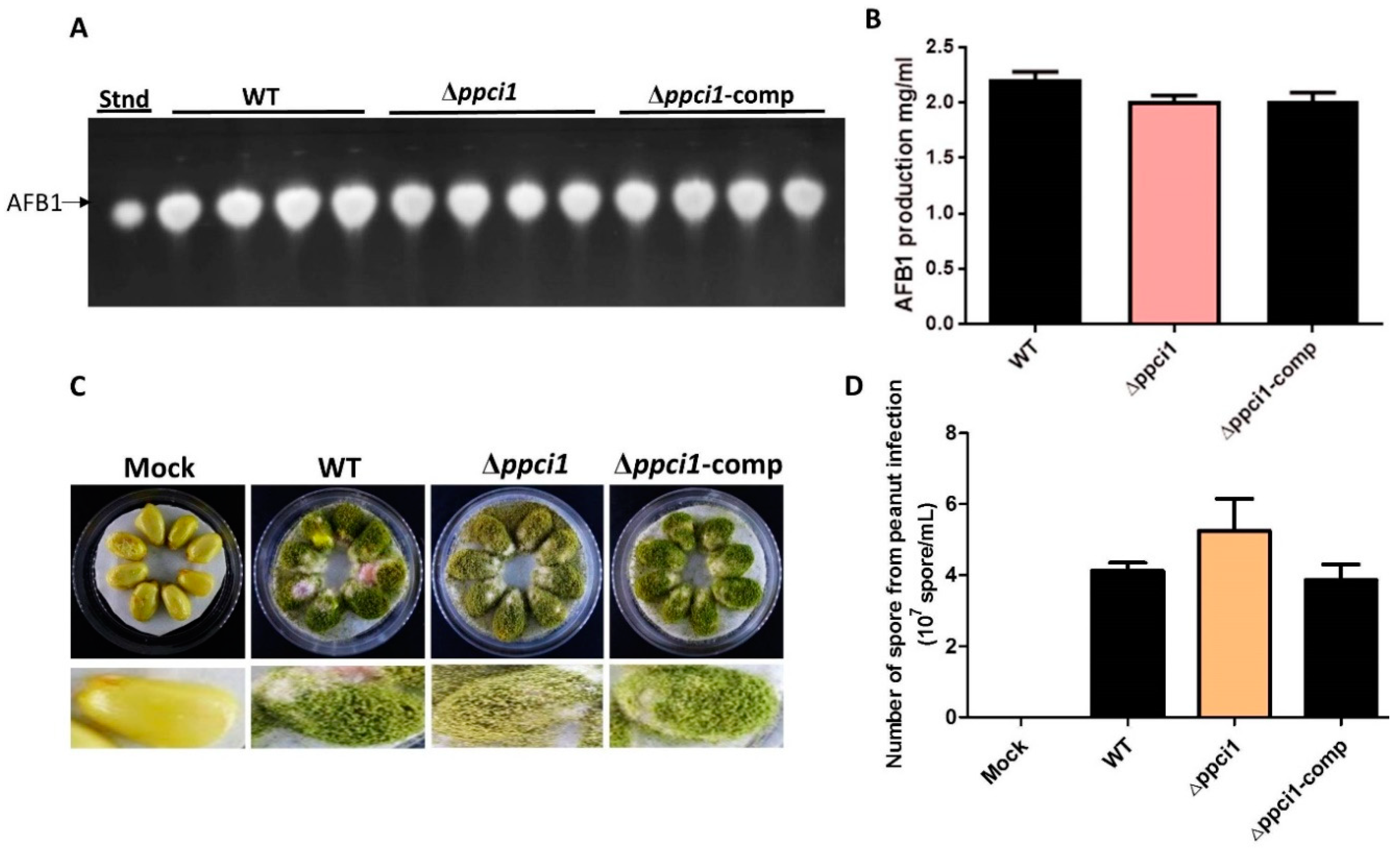 Ijms 20 02206 g009 Ijms 20 02206 g009