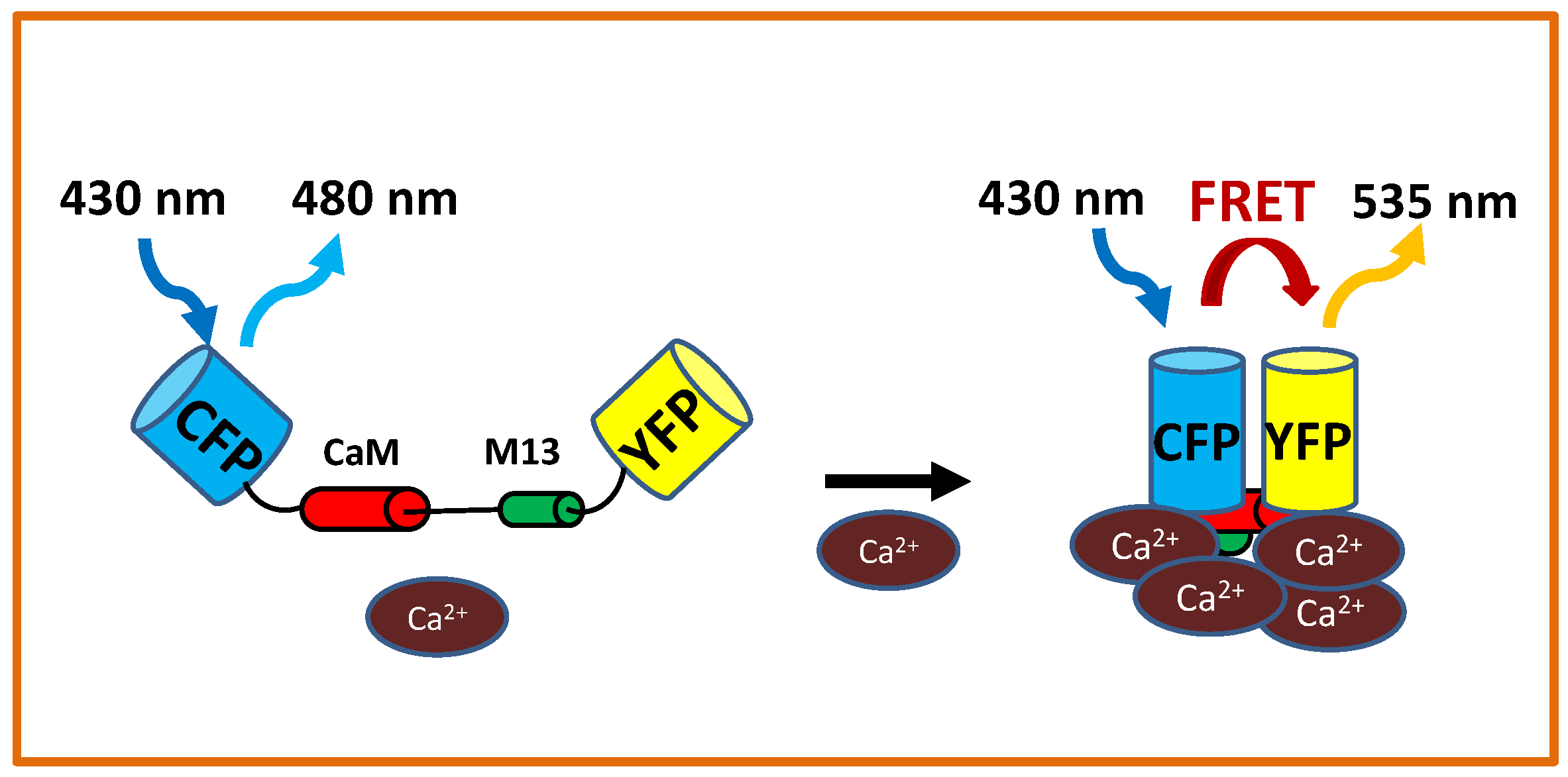 Ijms 20 02245 g002 Ijms 20 02245 g002