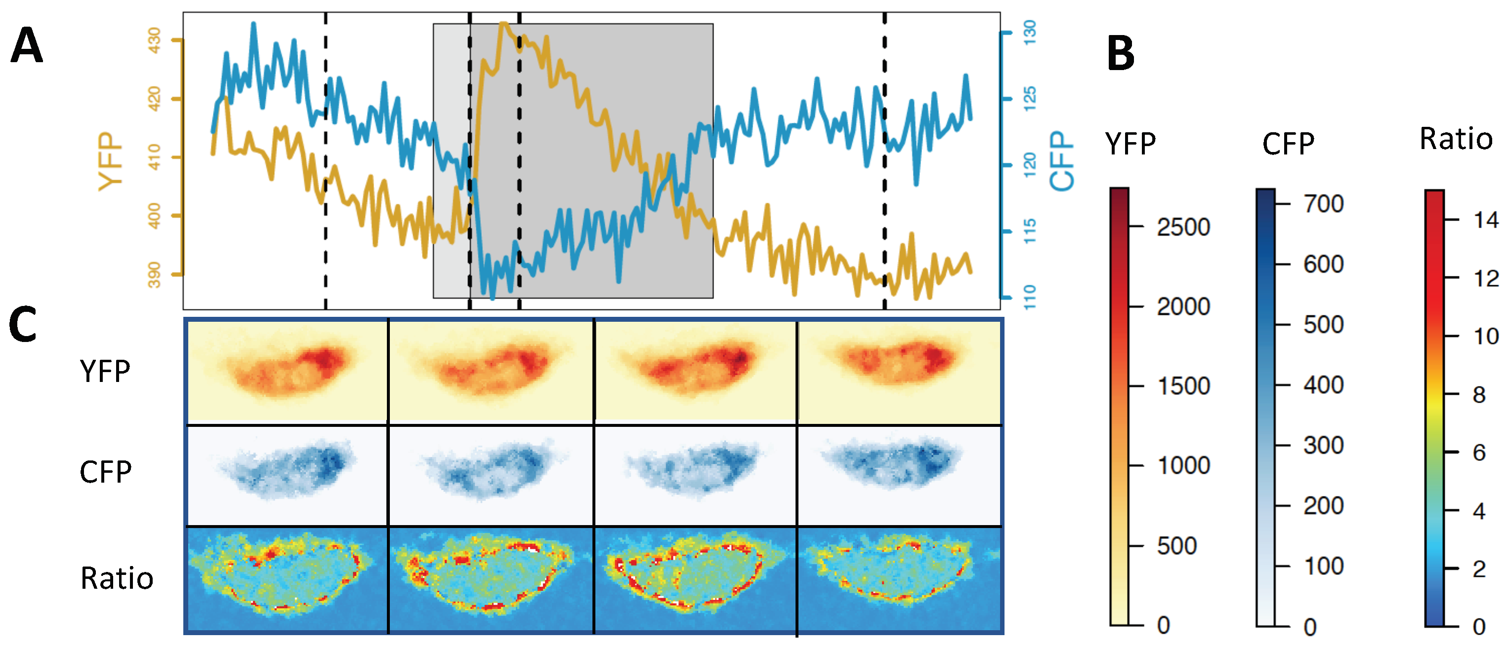 Ijms 20 02245 g005 Ijms 20 02245 g005