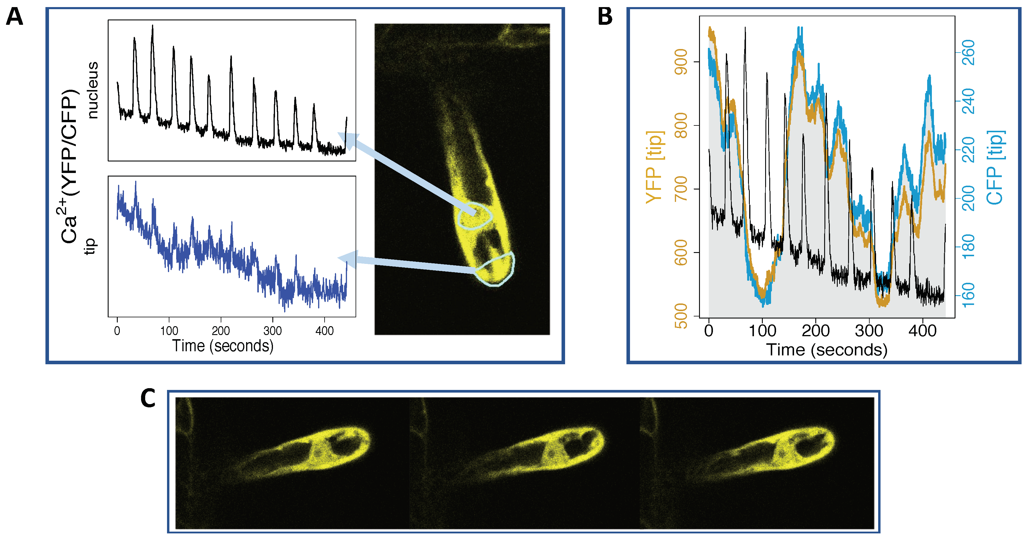 Ijms 20 02245 g008 Ijms 20 02245 g008