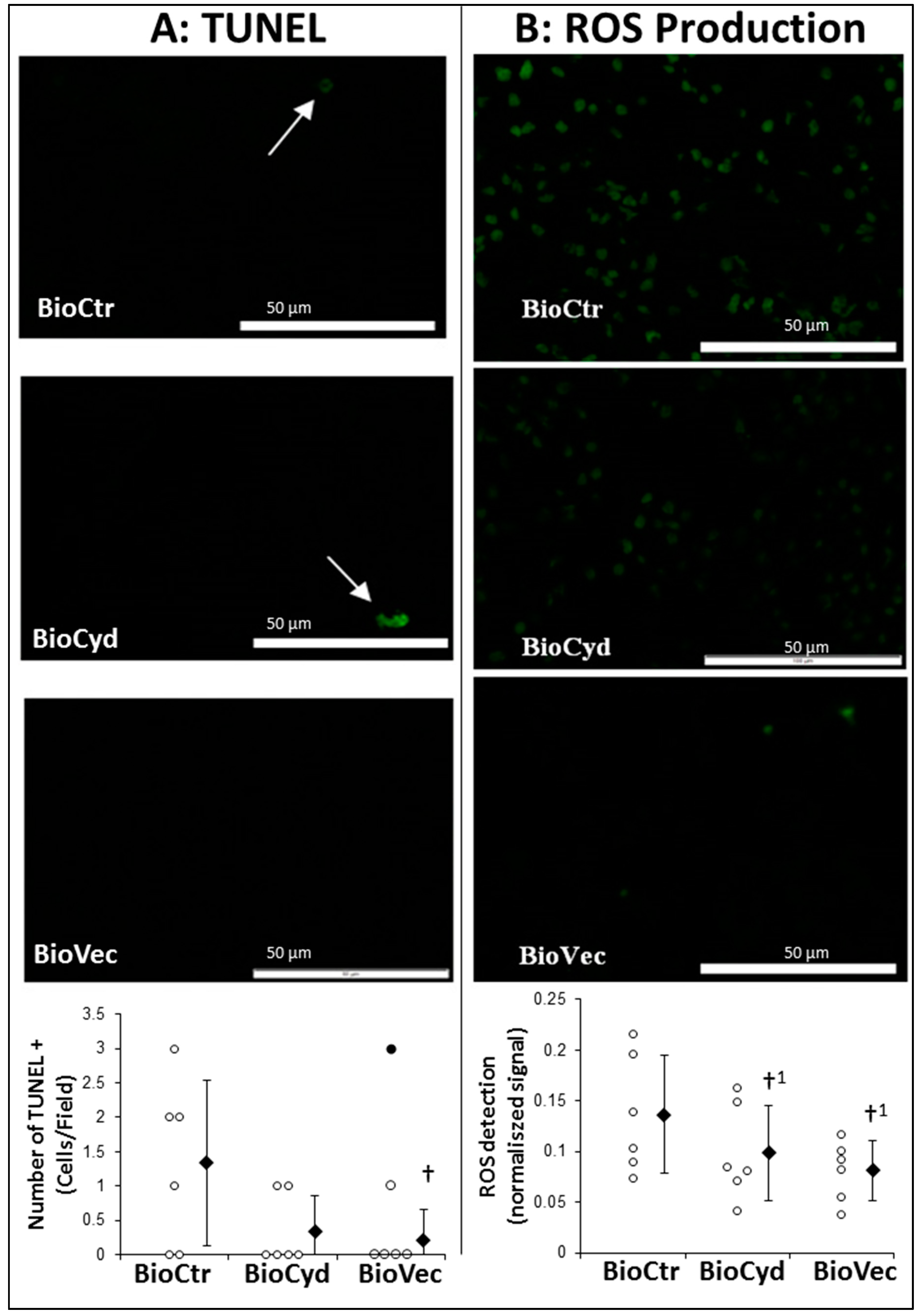 Ijms 20 02268 g004 Ijms 20 02268 g004