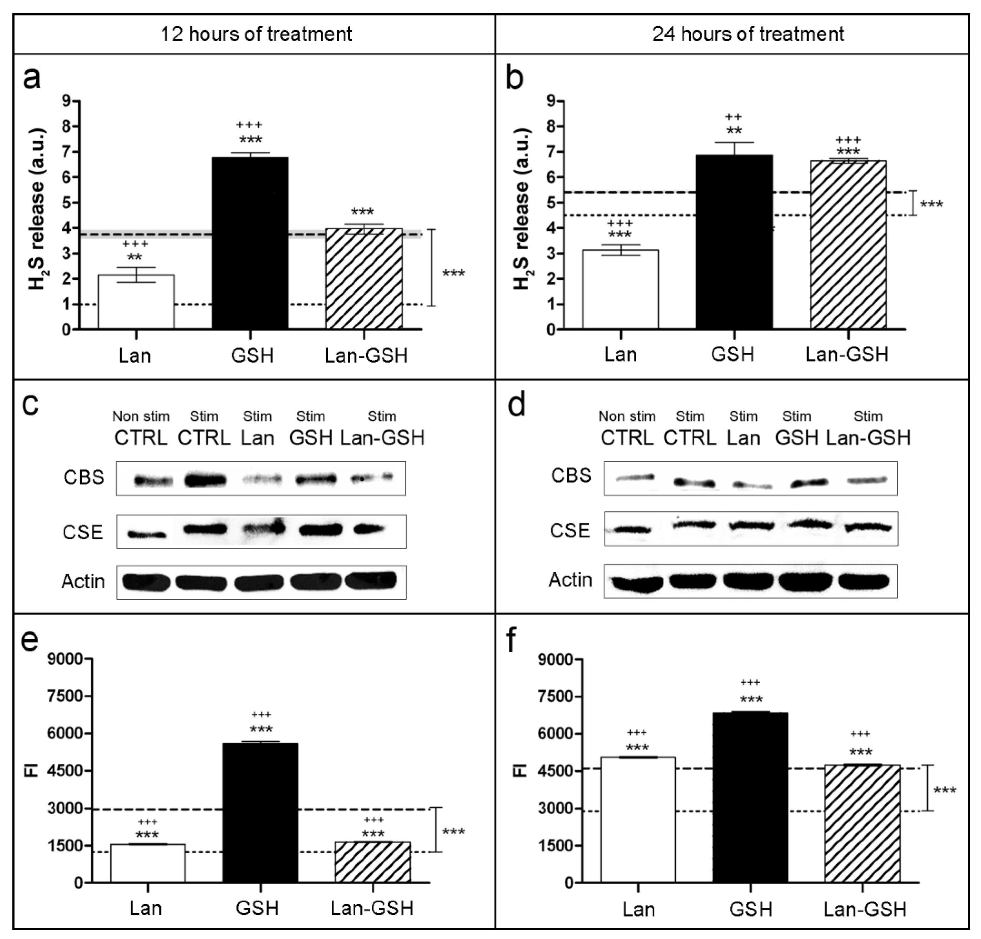 Ijms 20 02269 g001 Ijms 20 02269 g001