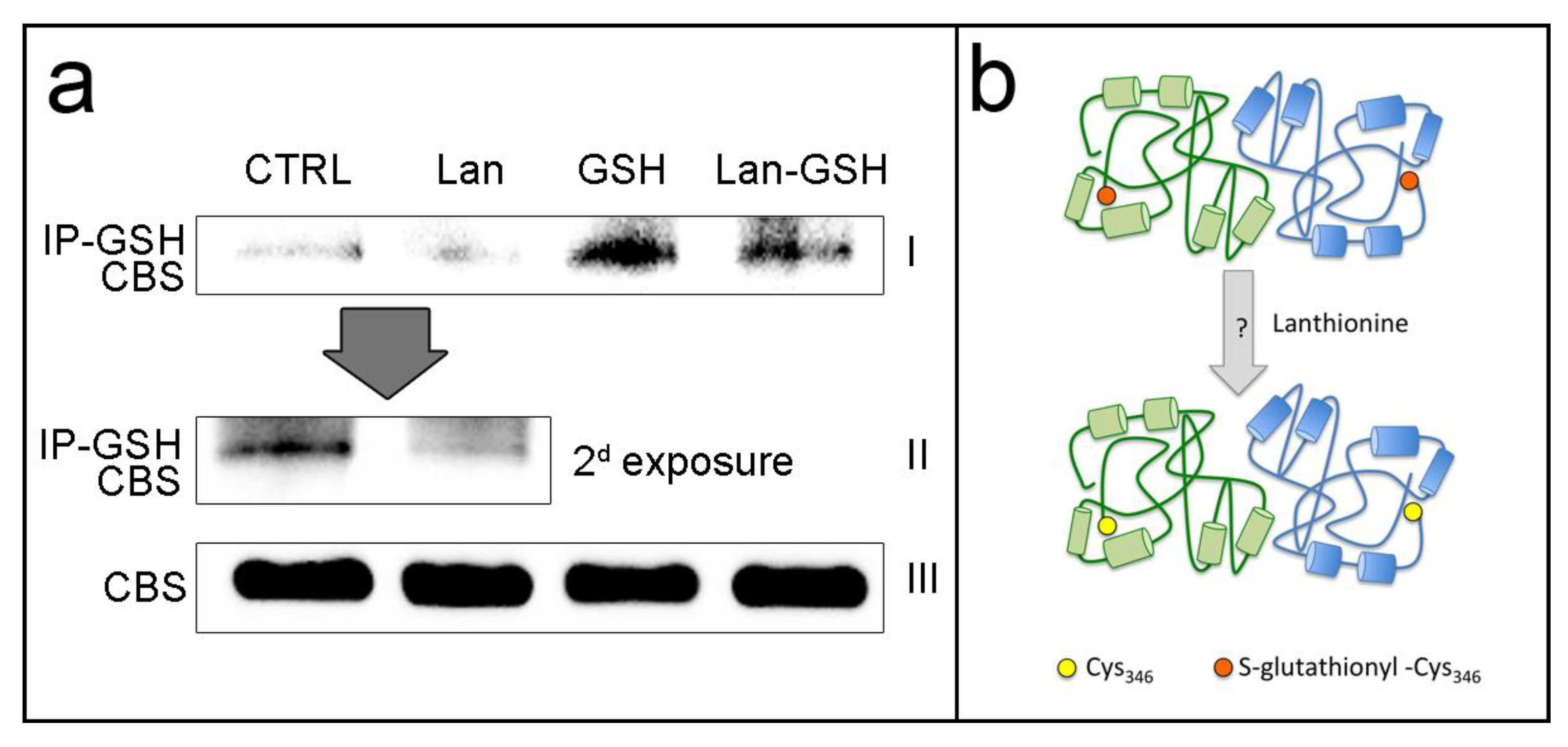 Ijms 20 02269 g002 Ijms 20 02269 g002