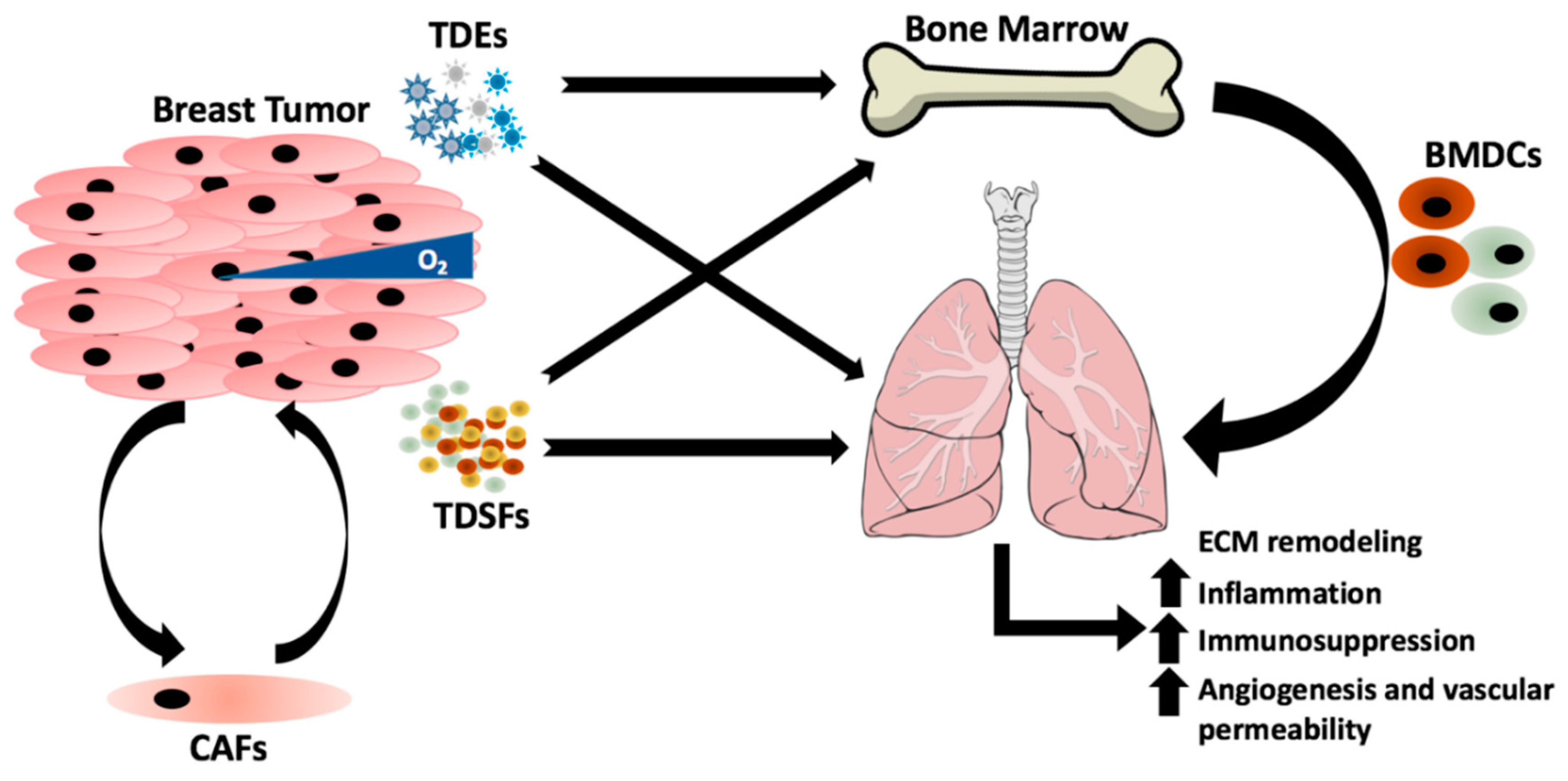 Ijms 20 02272 g001 Ijms 20 02272 g001