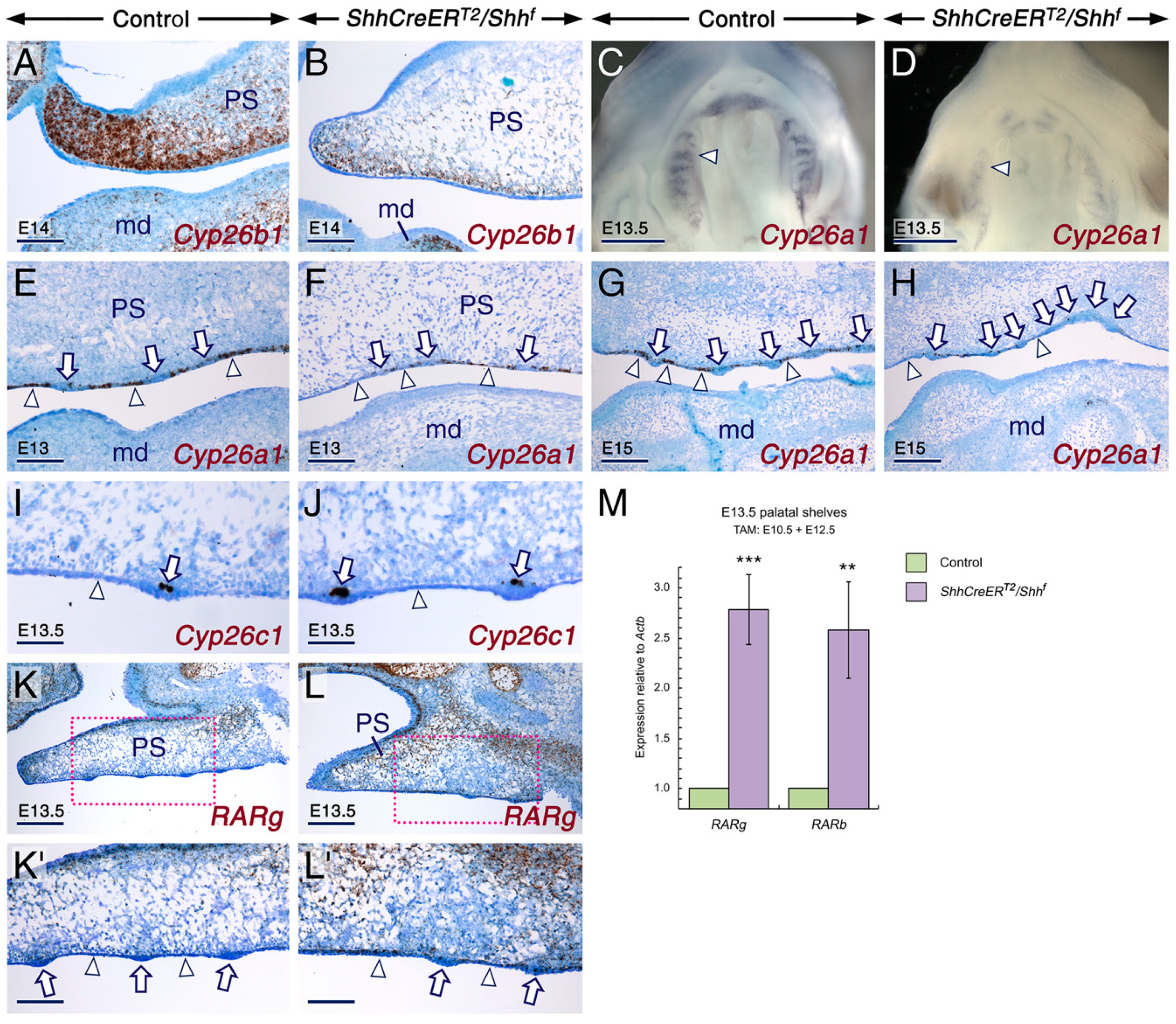 Ijms 20 02275 g004 Ijms 20 02275 g004