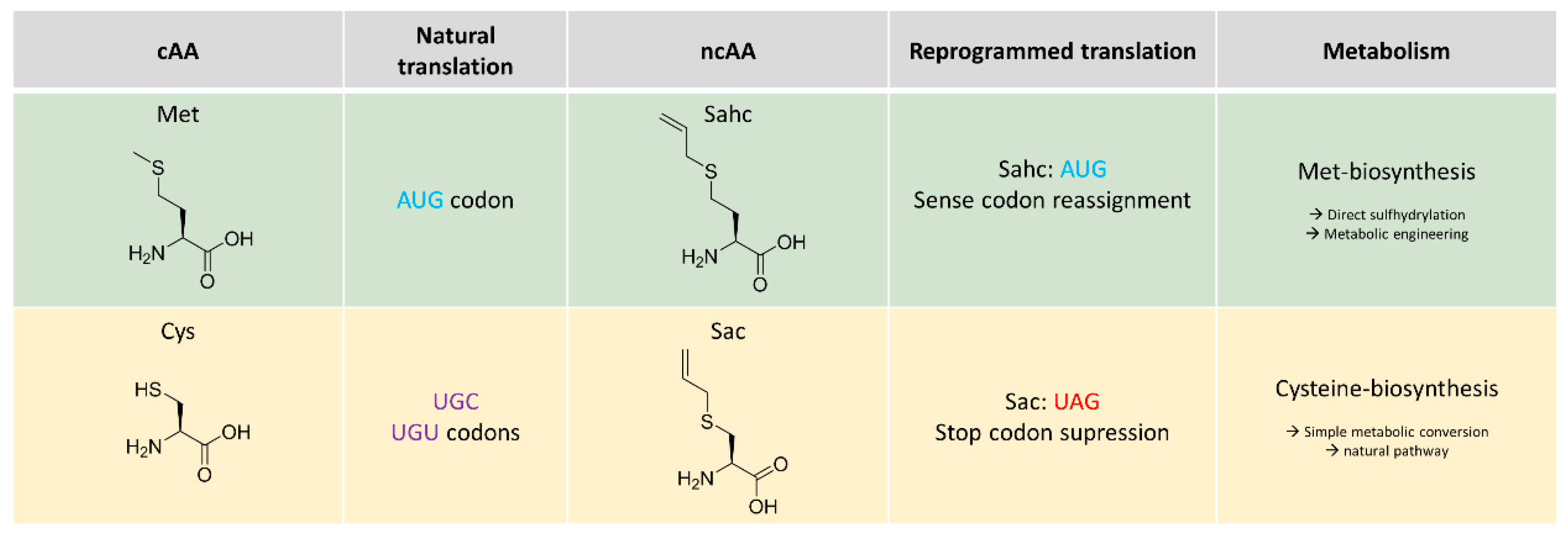 Ijms 20 02299 sch001