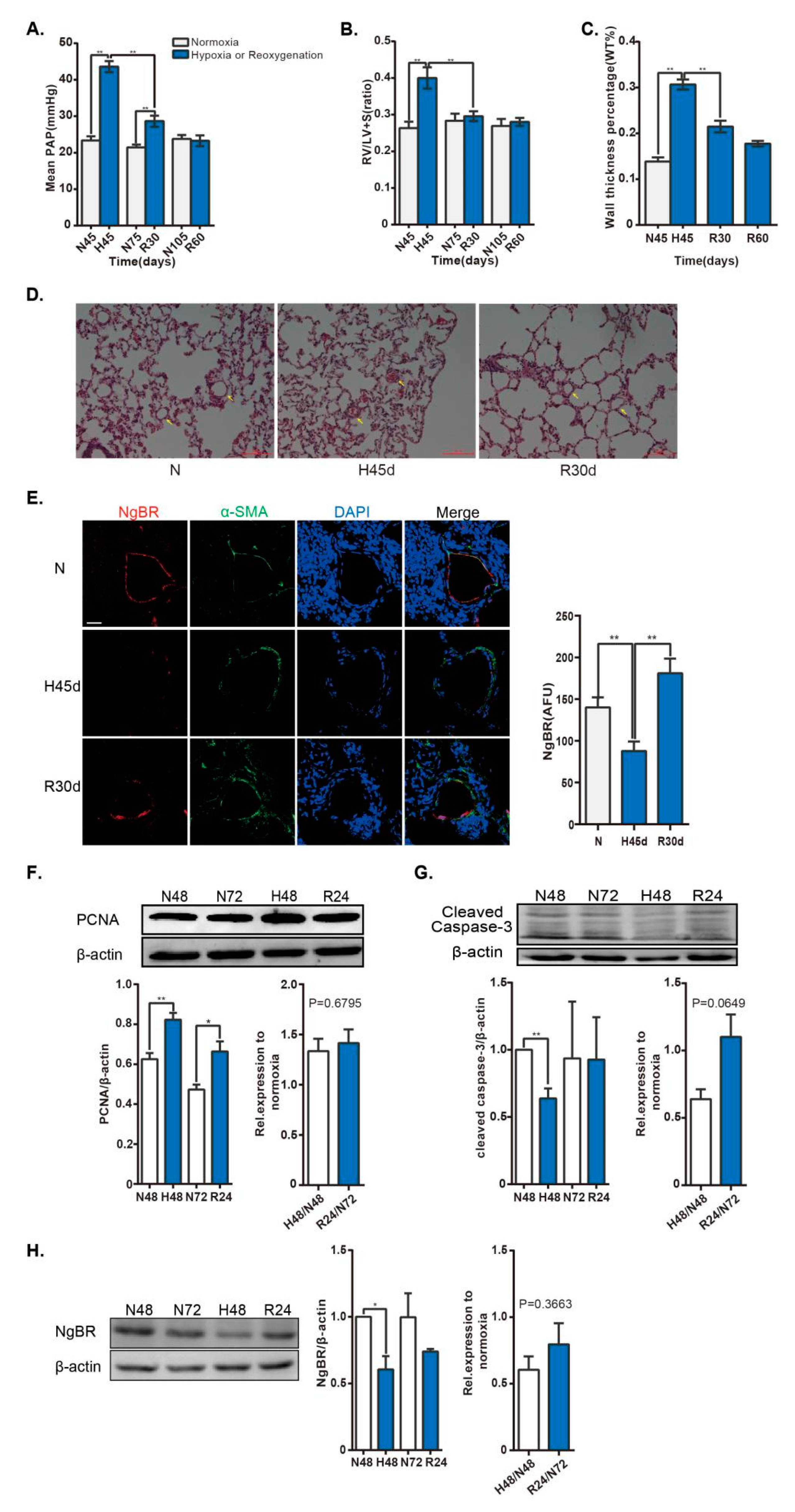 Ijms 20 02319 g001 Ijms 20 02319 g001