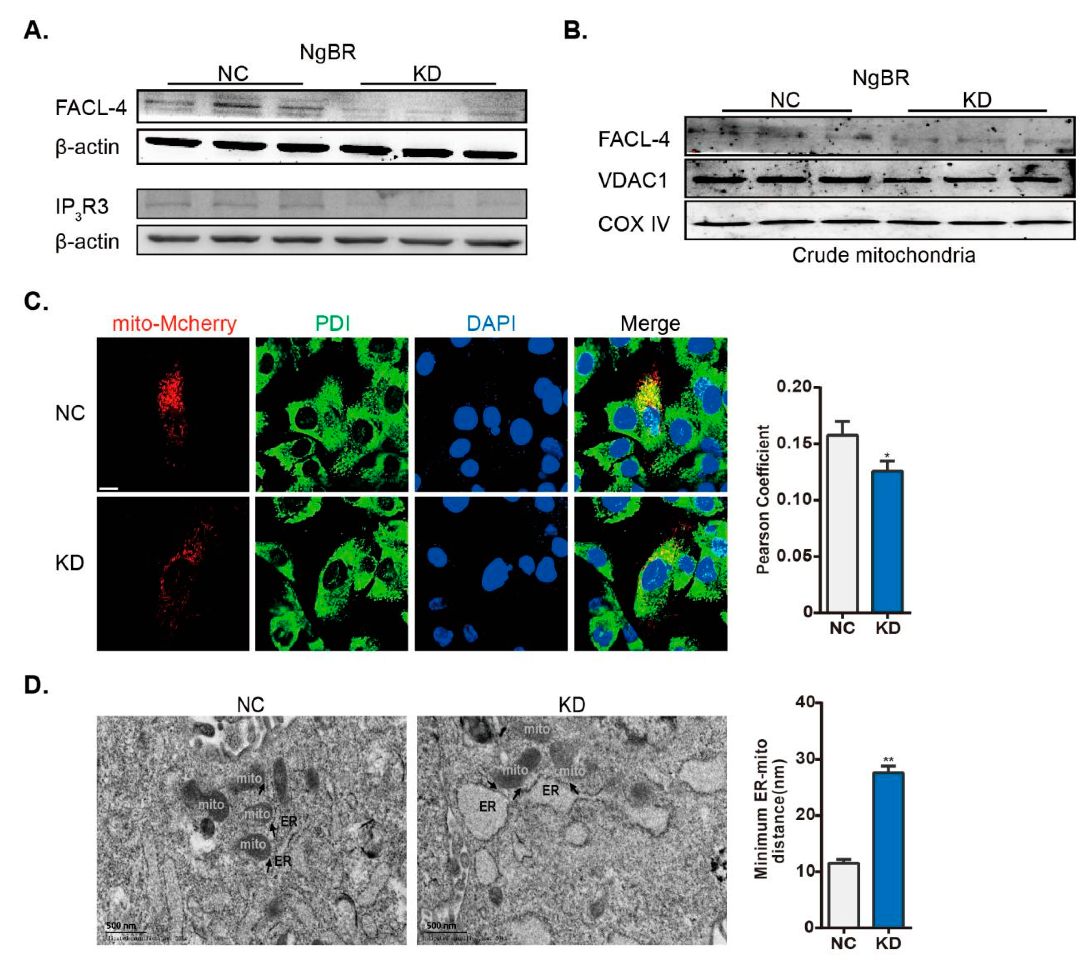Ijms 20 02319 g003 Ijms 20 02319 g003