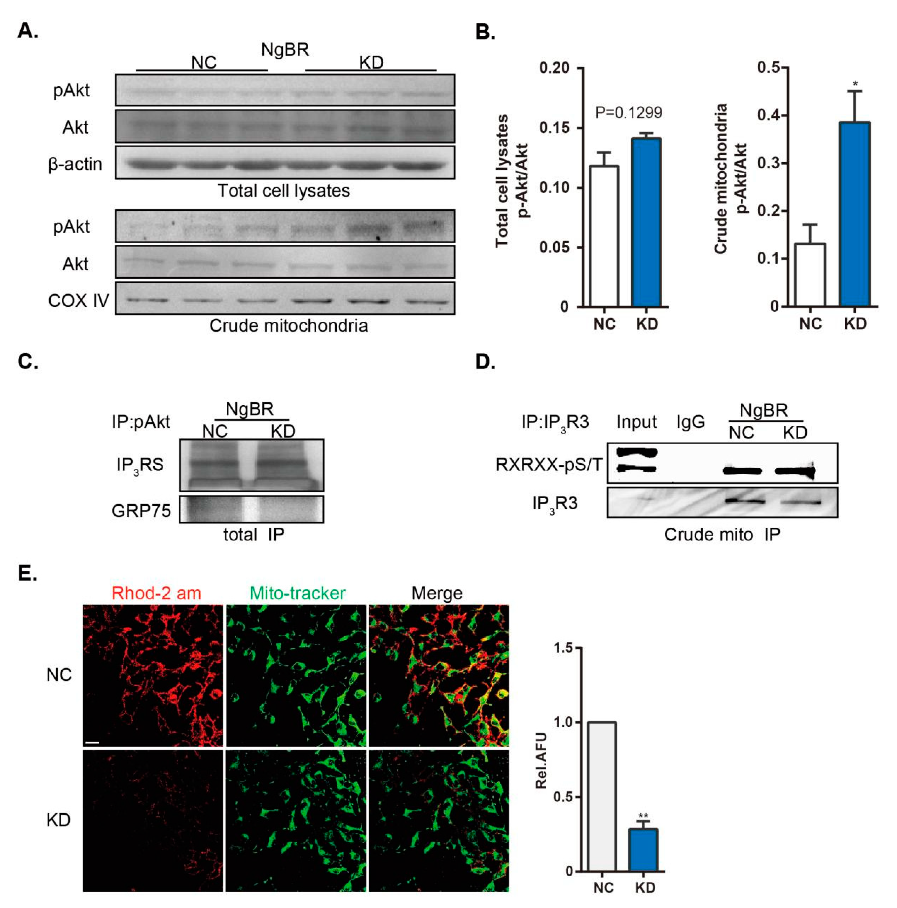 Ijms 20 02319 g004 Ijms 20 02319 g004