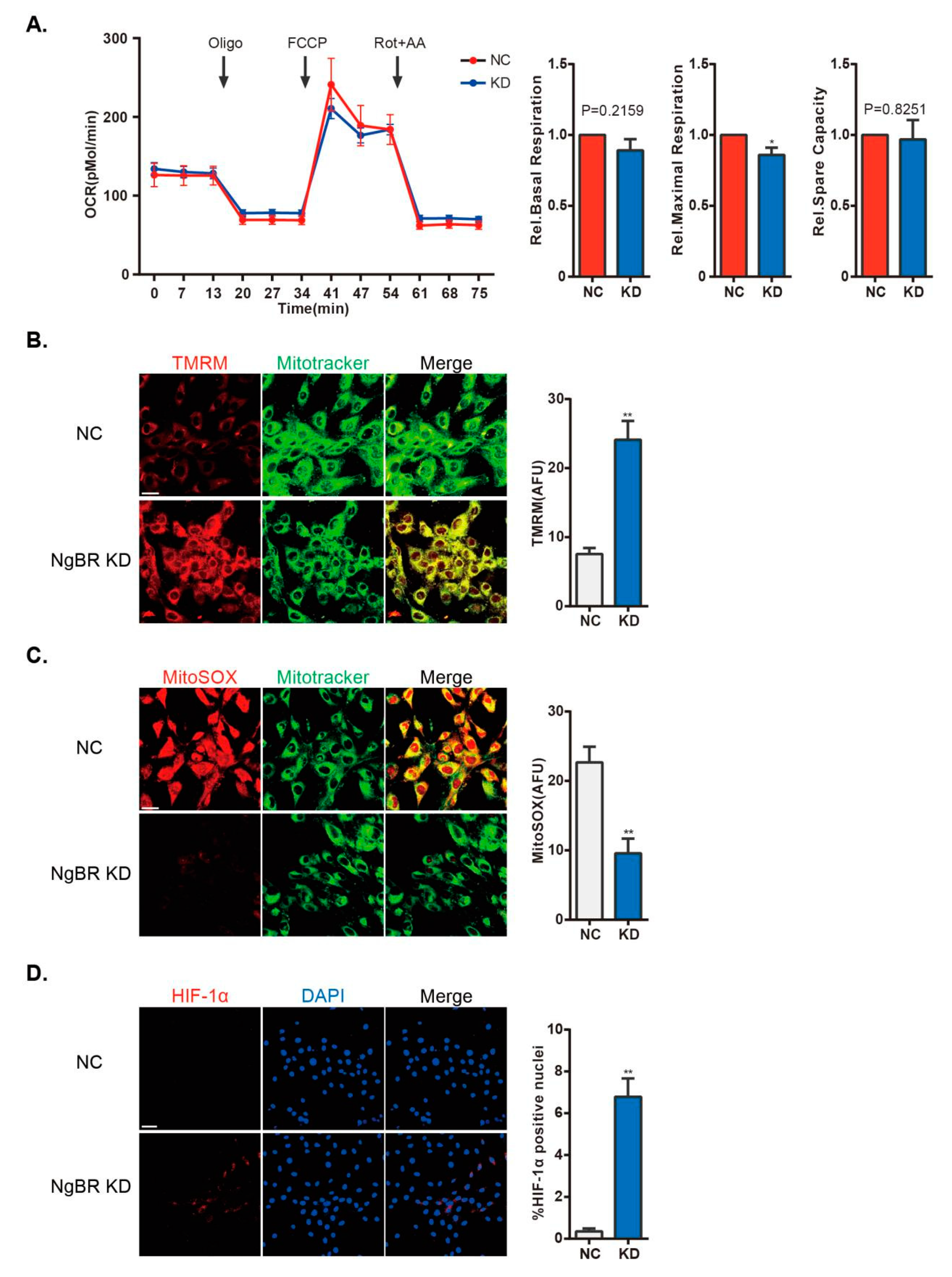 Ijms 20 02319 g005 Ijms 20 02319 g005