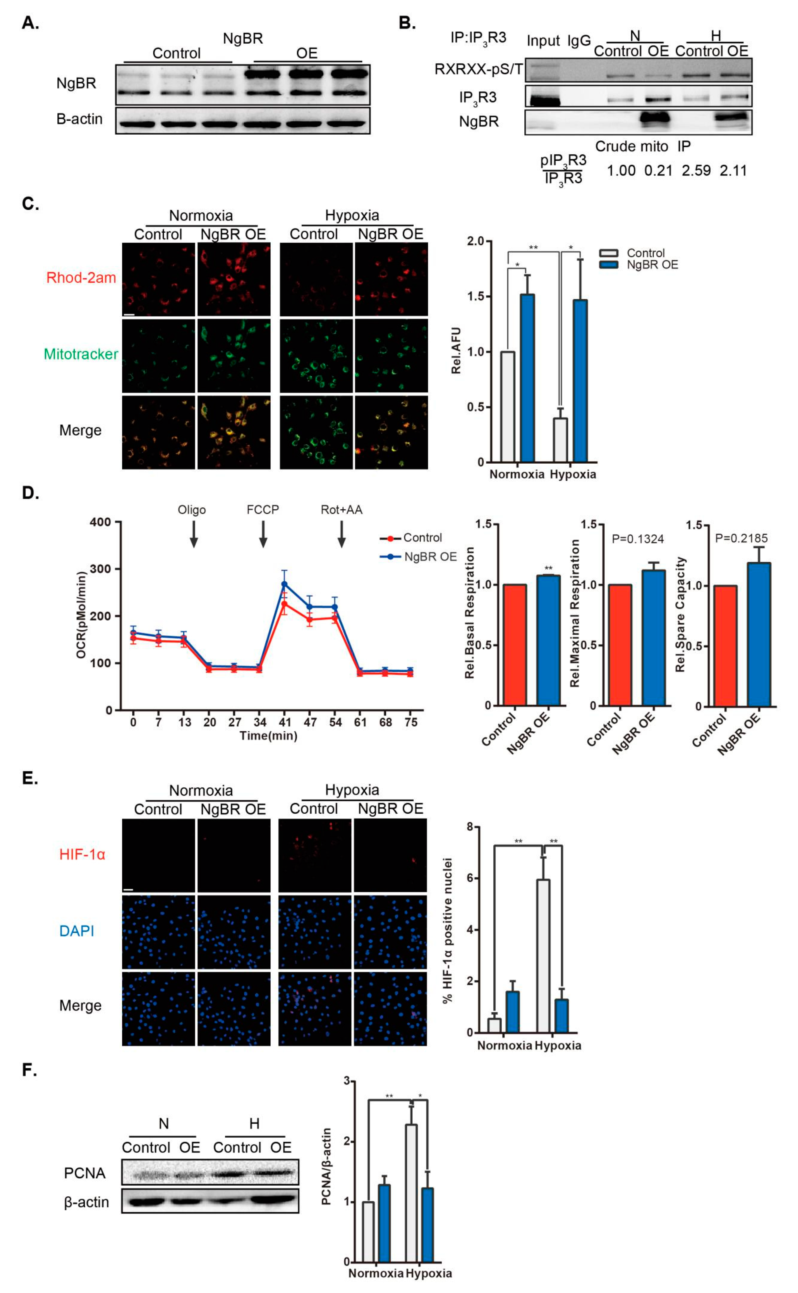 Ijms 20 02319 g006 Ijms 20 02319 g006