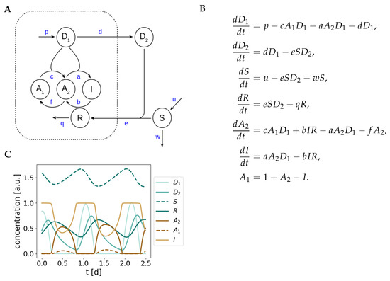 Ijms 20 02368 g0a2 550