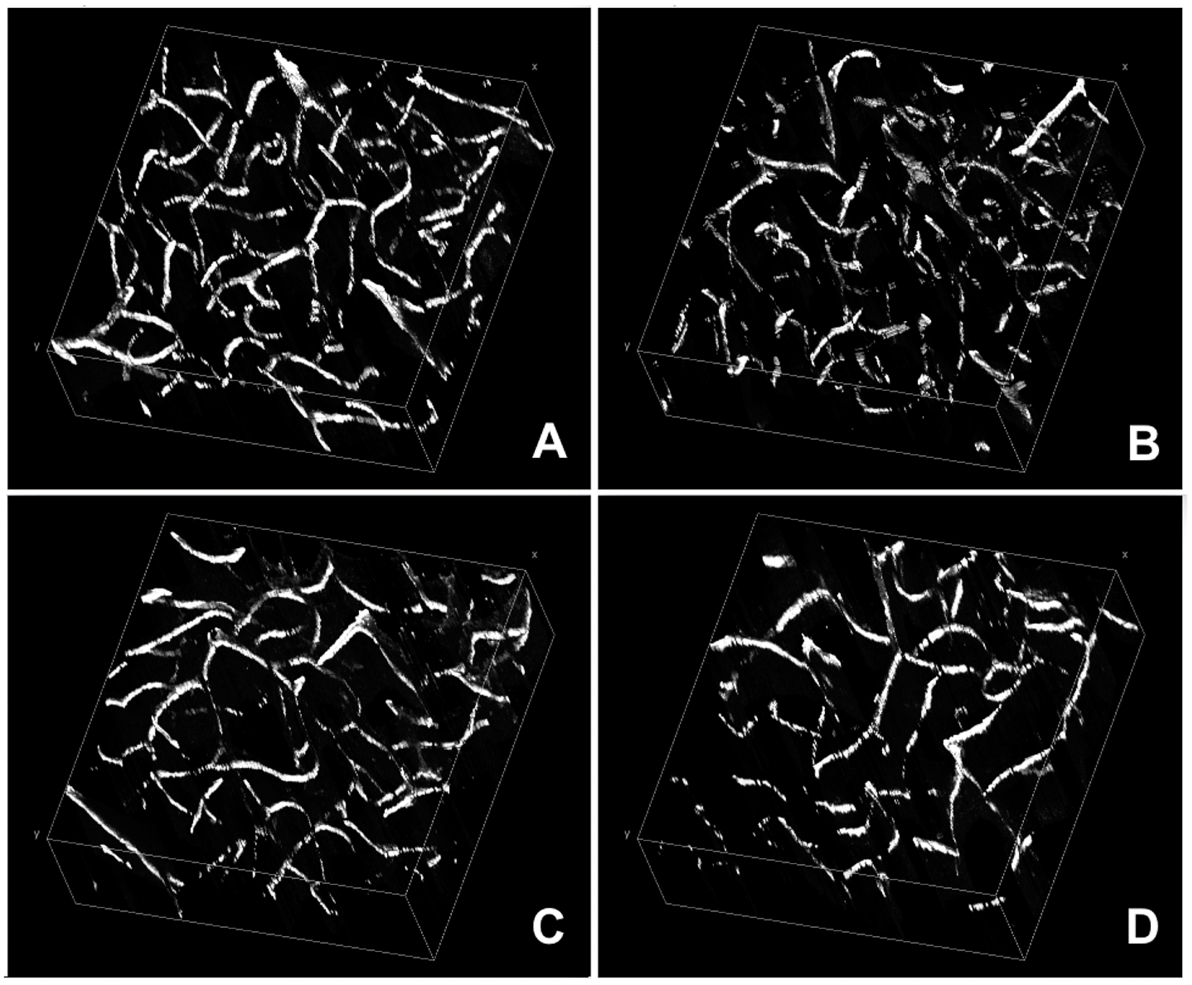Ijms 20 02384 g001 Ijms 20 02384 g001