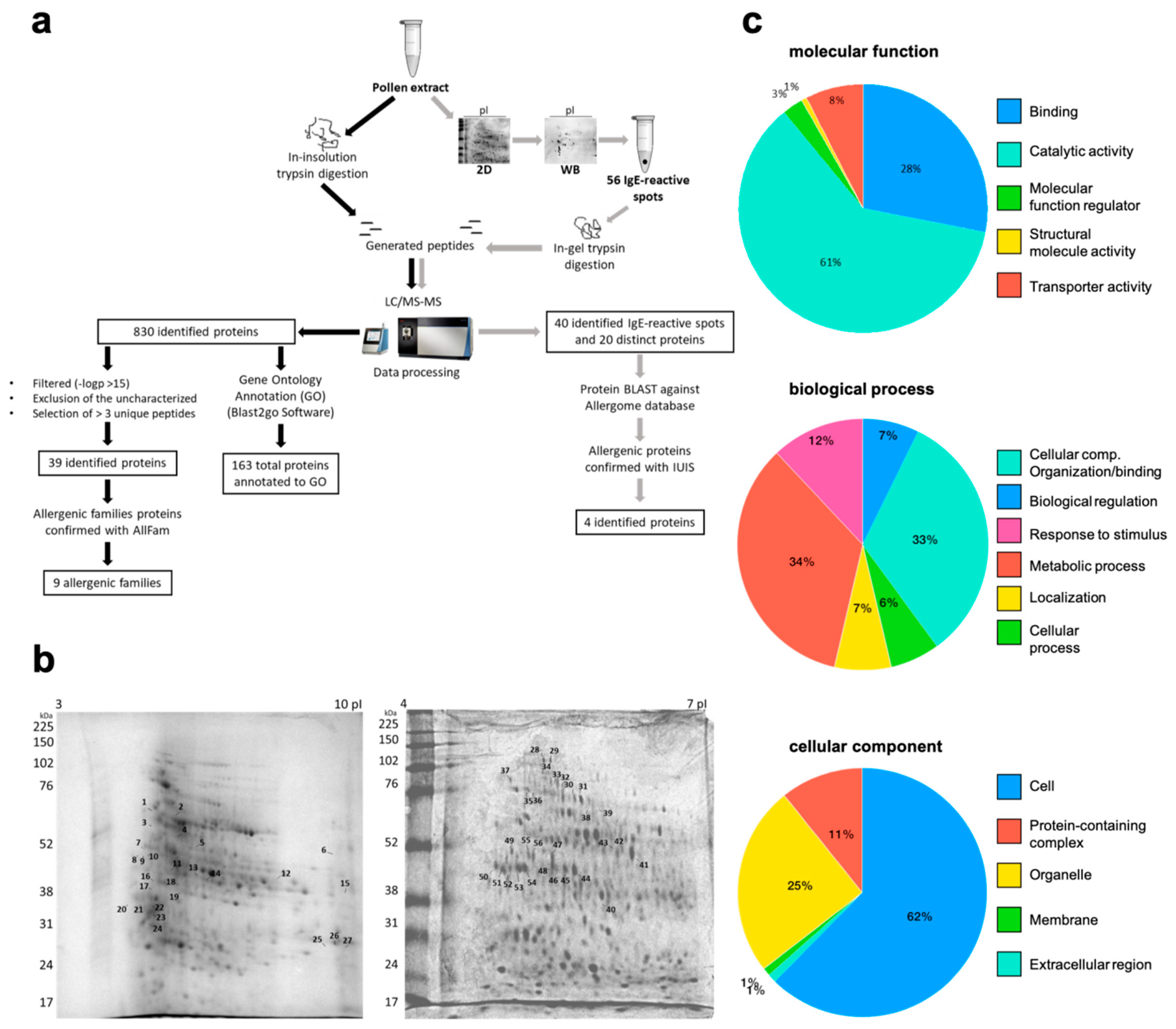 Ijms 20 02397 g002 Ijms 20 02397 g002