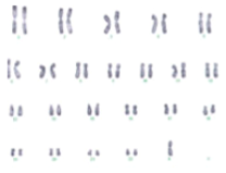 Ijms 20 02406 i001 Ijms 20 02406 i001