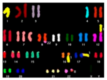 Ijms 20 02406 i002 Ijms 20 02406 i002