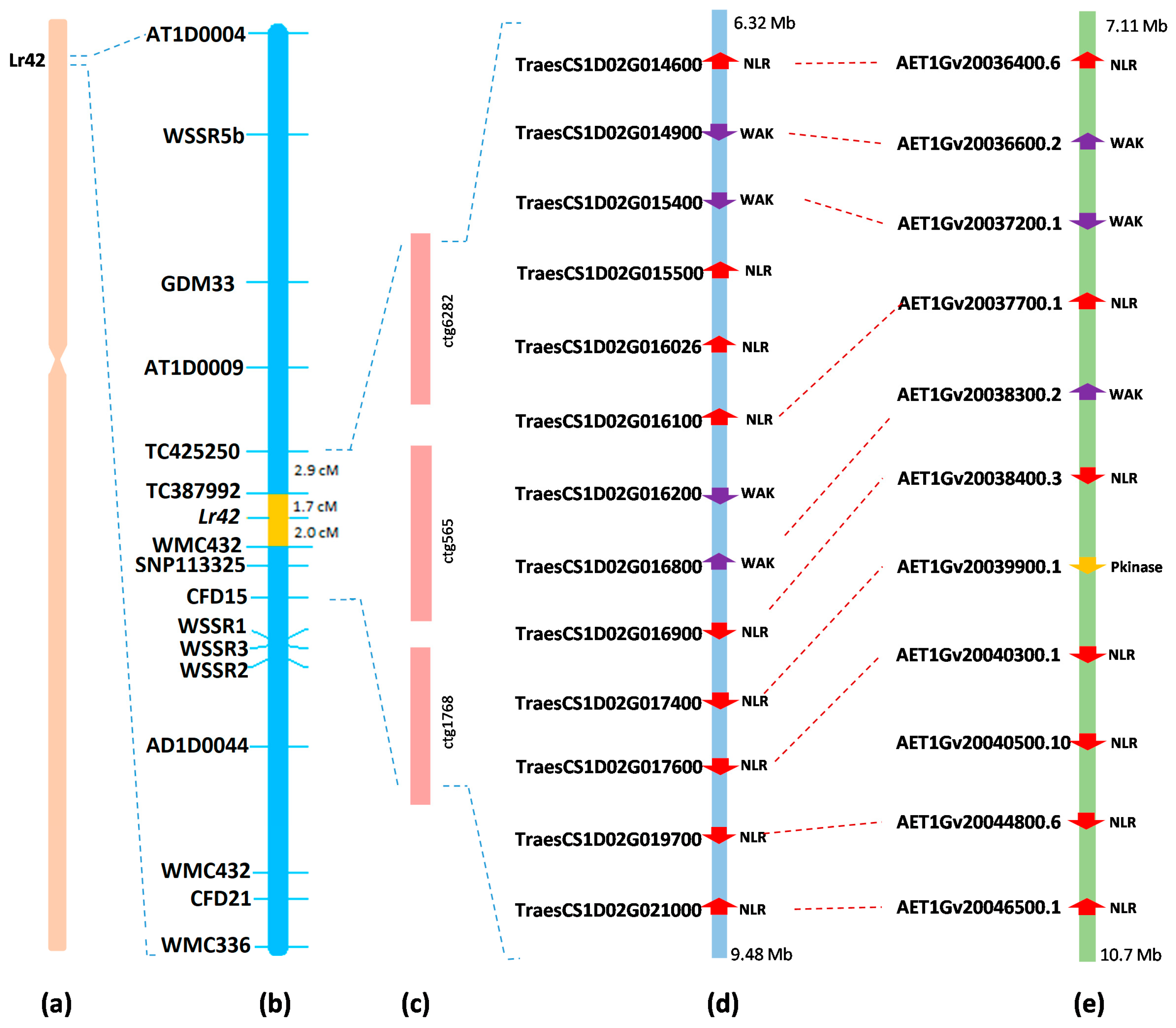 Ijms 20 02445 g003 Ijms 20 02445 g003