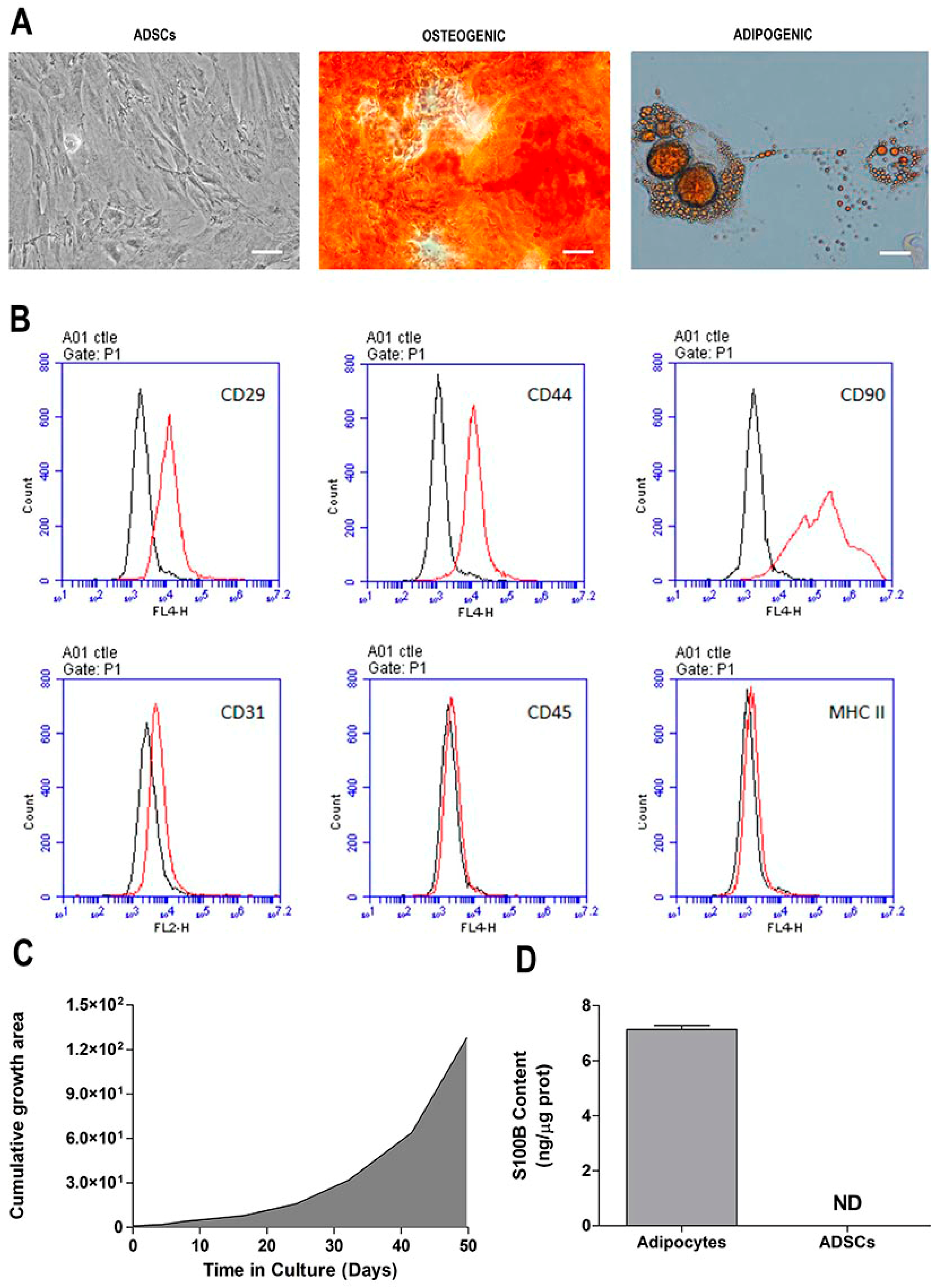 Ijms 20 02458 g001