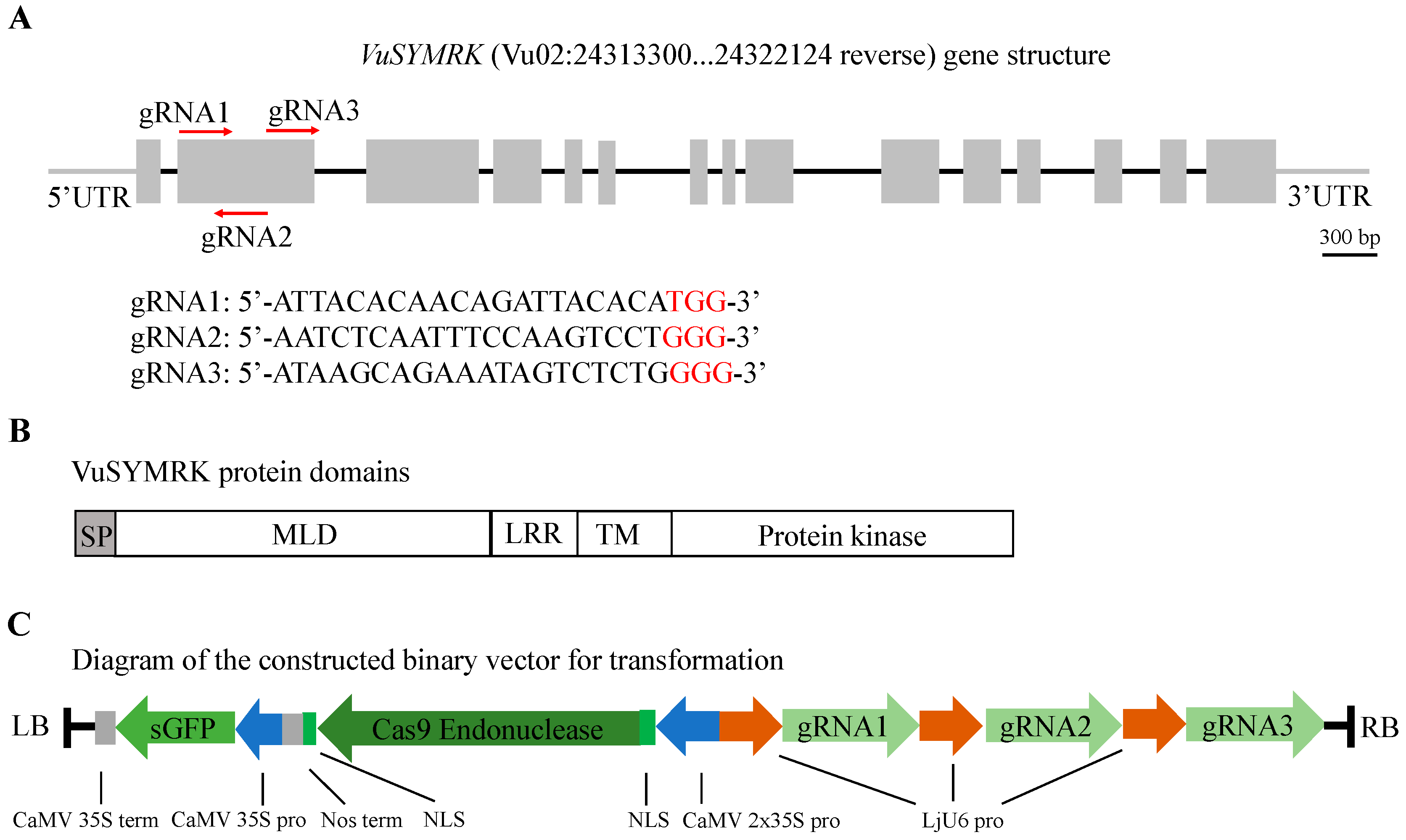 Ijms 20 02471 g002