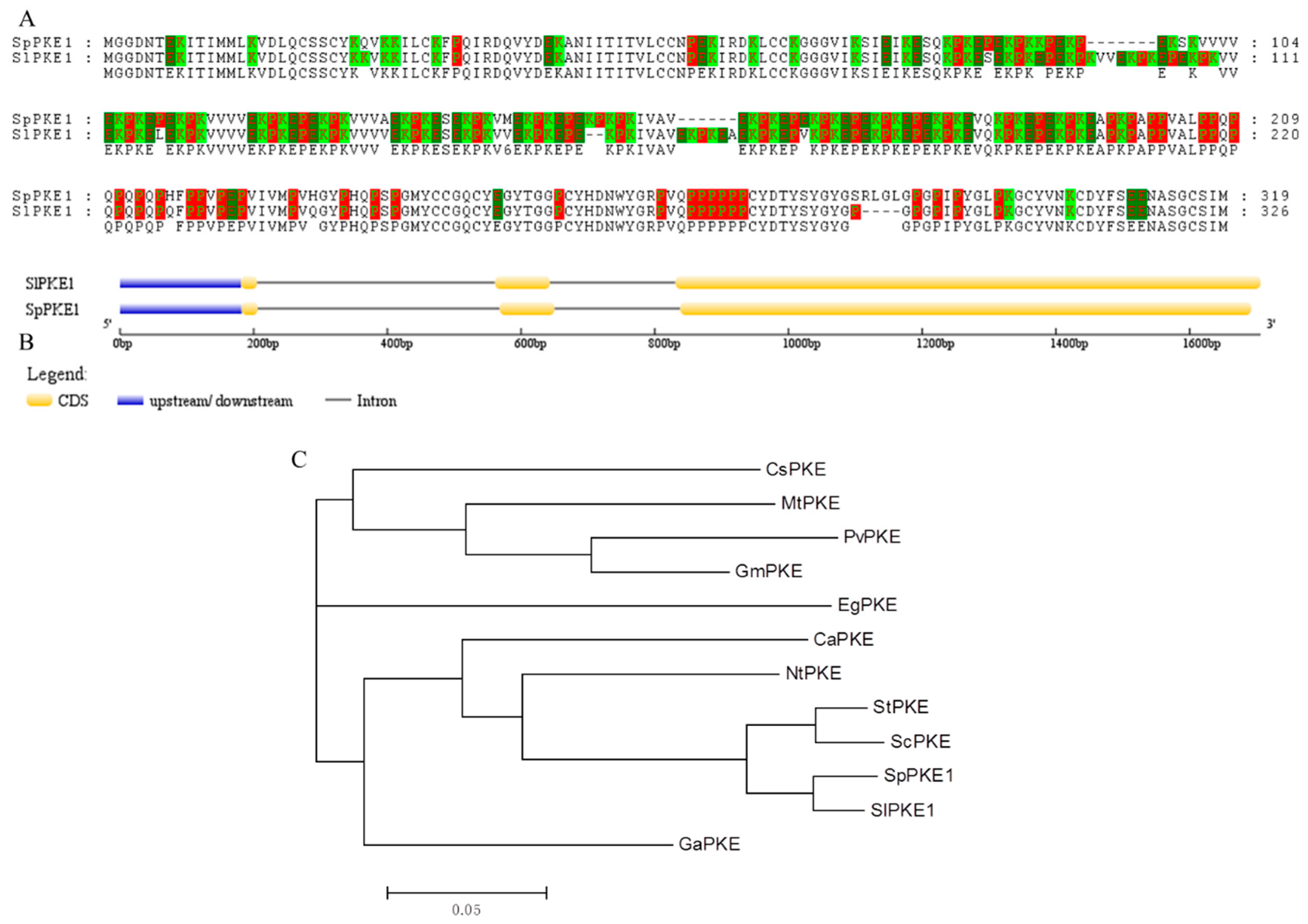 Ijms 20 02478 g001 Ijms 20 02478 g001