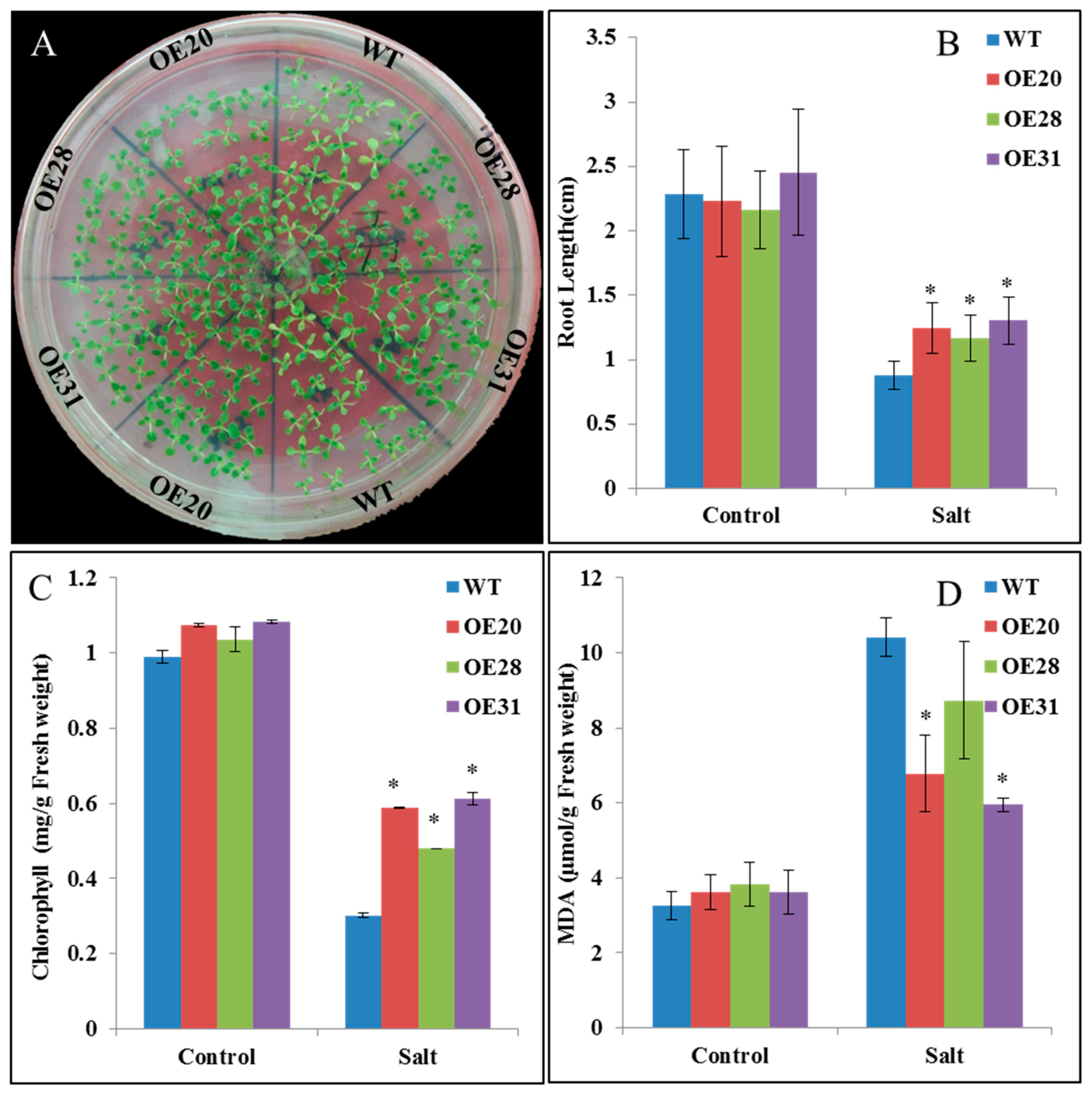 Ijms 20 02478 g006 Ijms 20 02478 g006