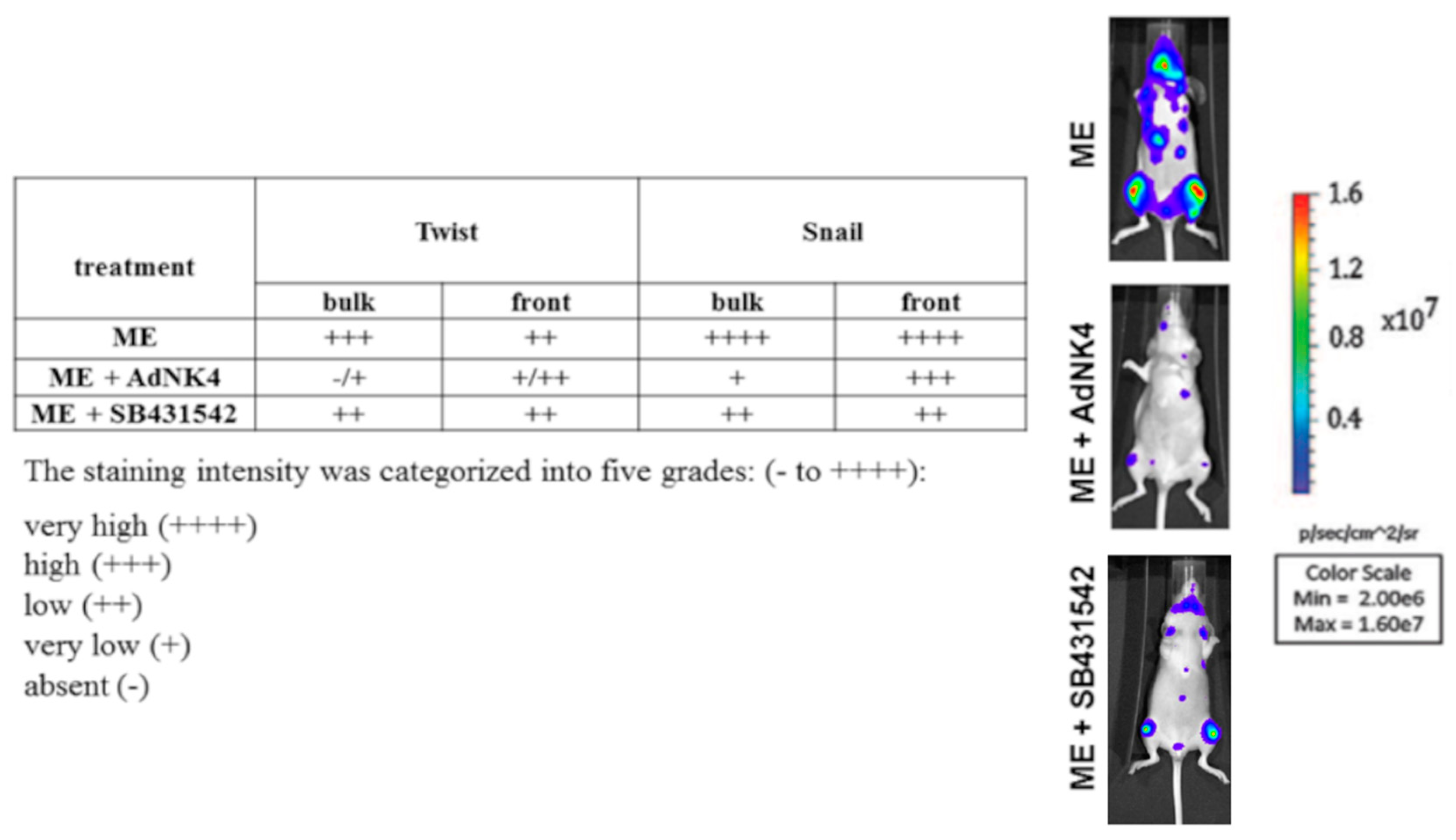 Ijms 20 02520 g002