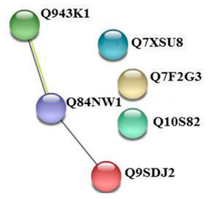 Ijms 20 02525 g005 Ijms 20 02525 g005