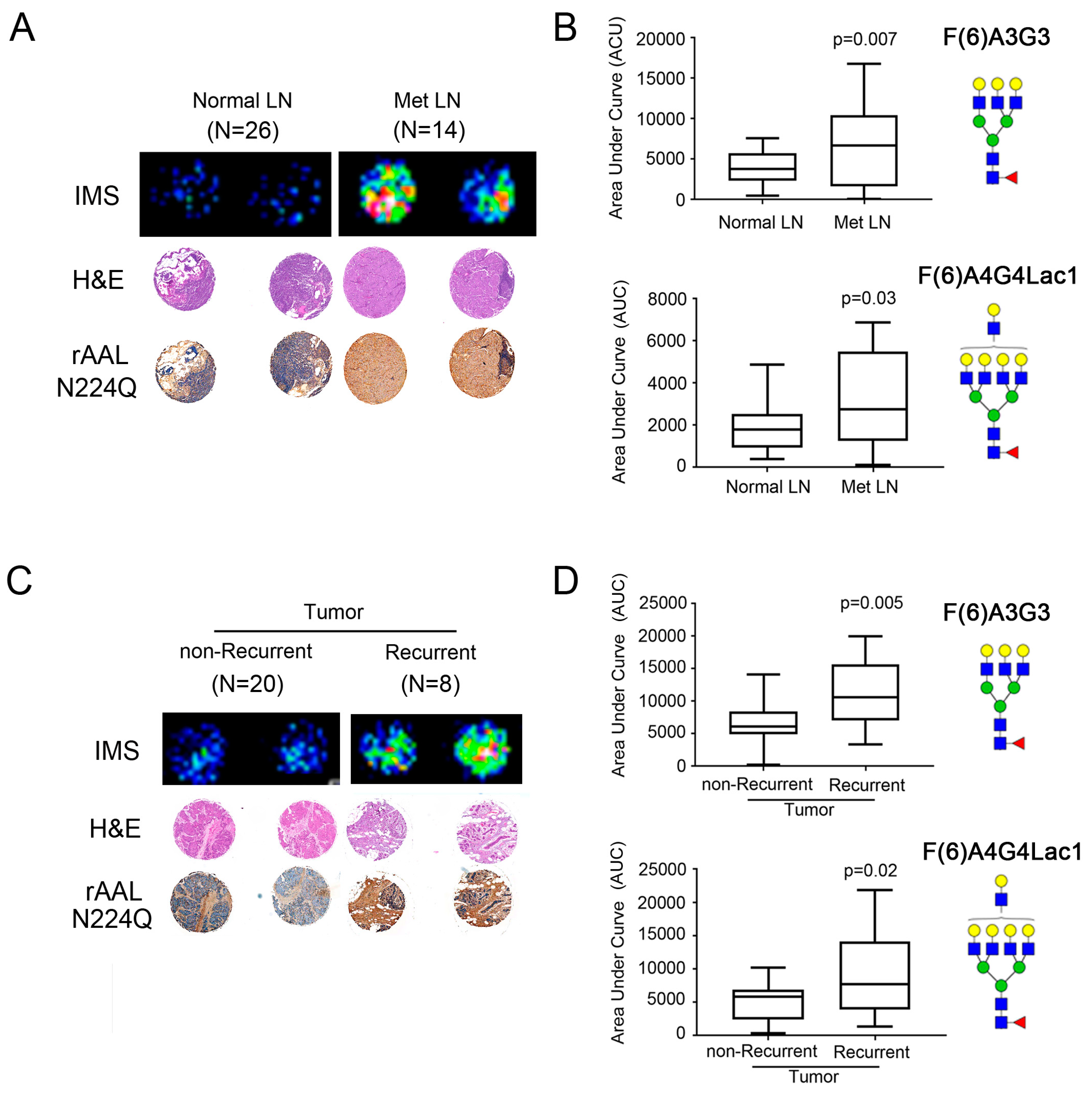 Ijms 20 02528 g005 Ijms 20 02528 g005