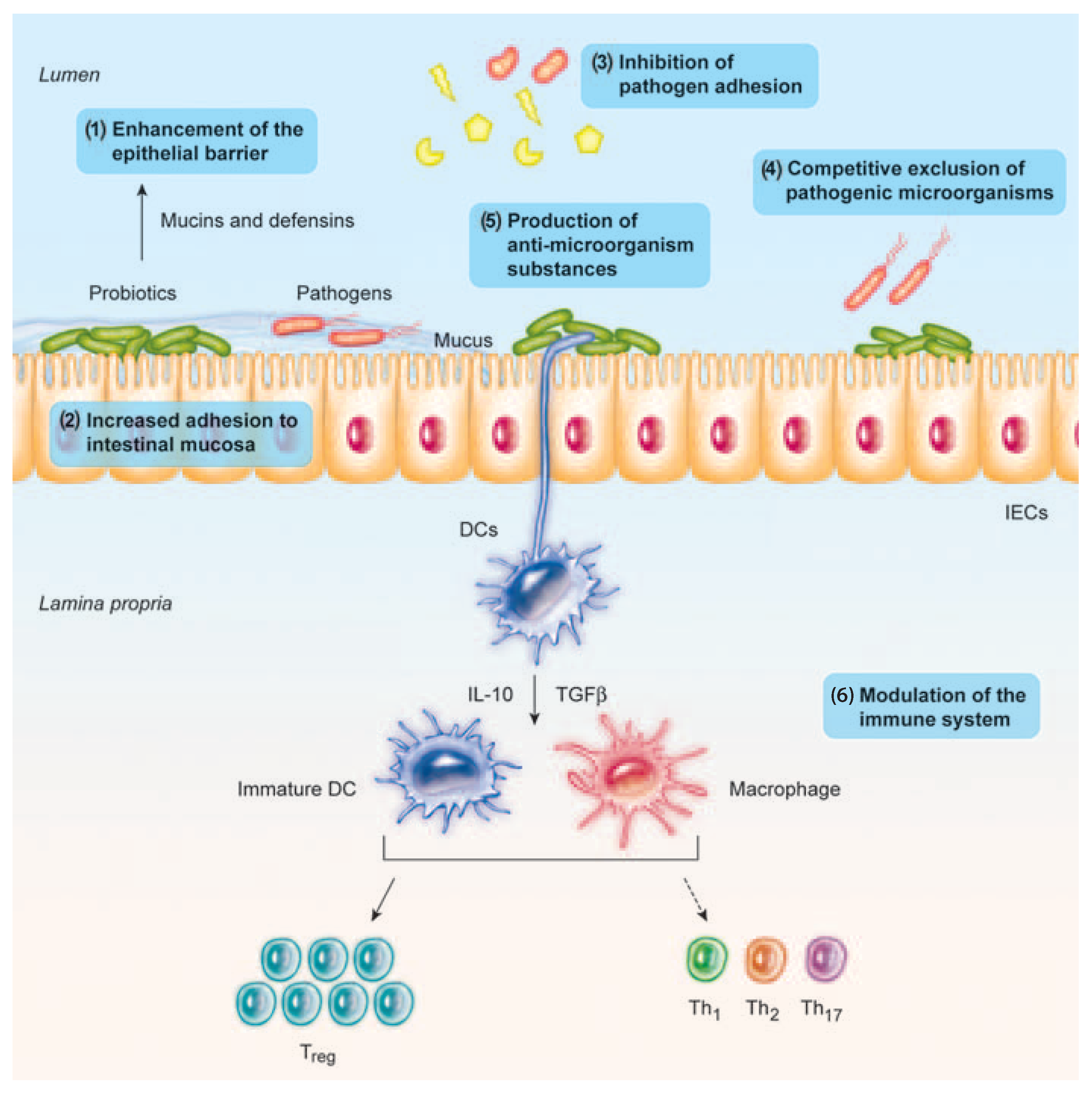 Ijms 20 02534 g001 Ijms 20 02534 g001