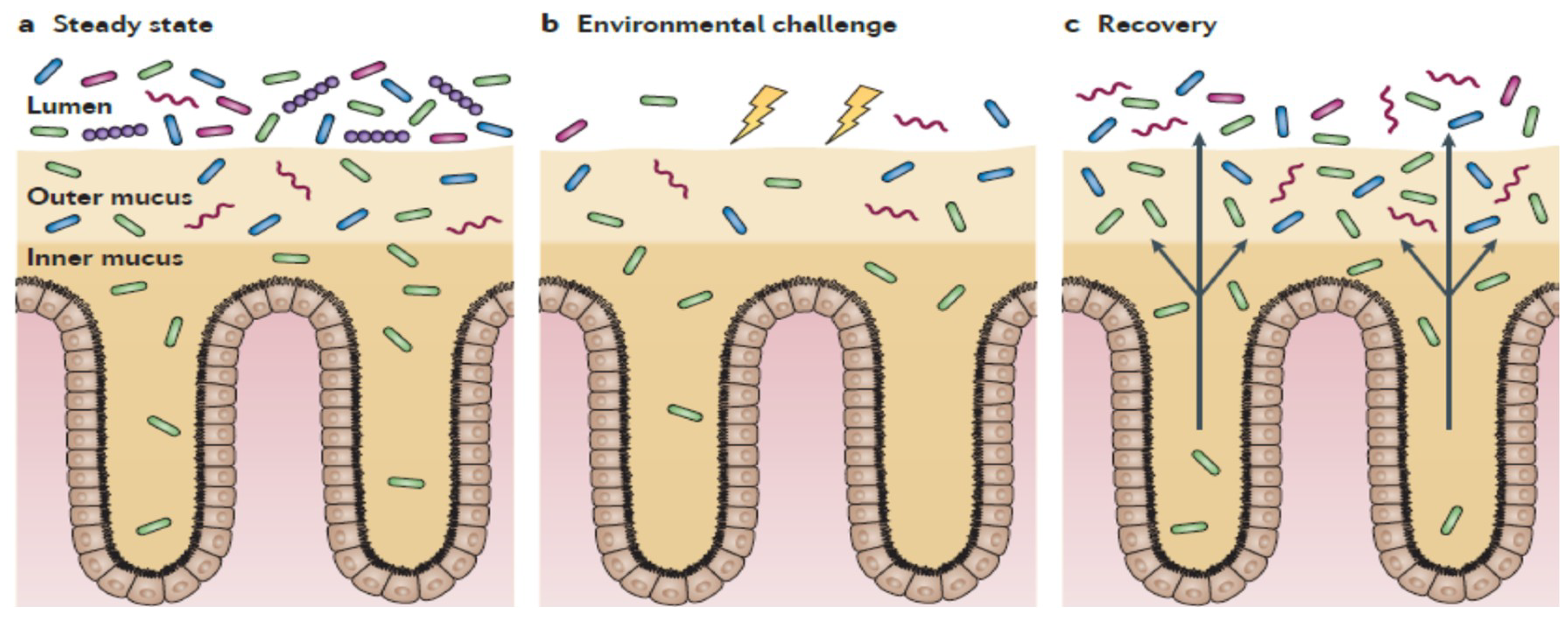 Ijms 20 02534 g003 Ijms 20 02534 g003