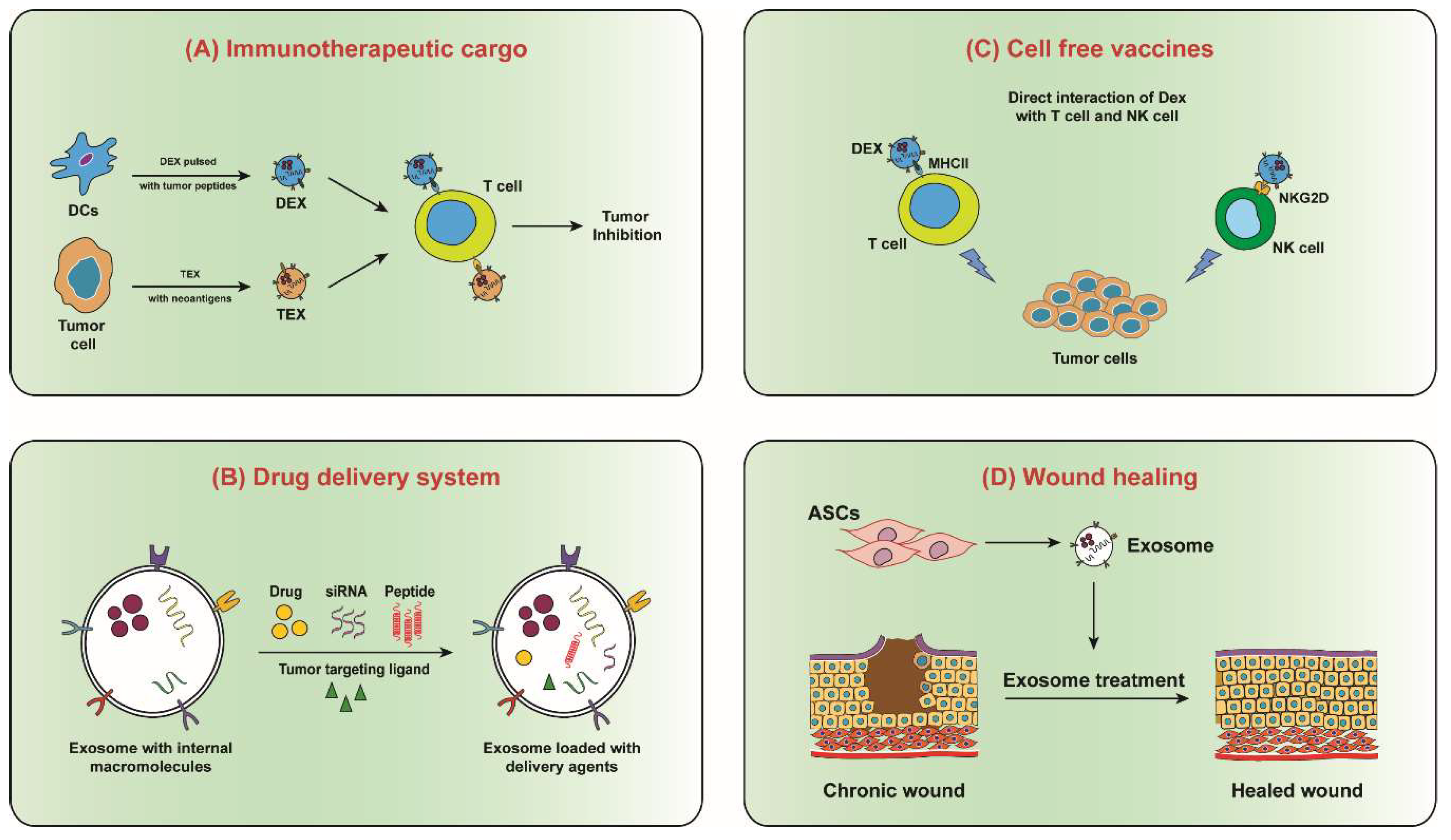 Ijms 20 02547 g005 Ijms 20 02547 g005