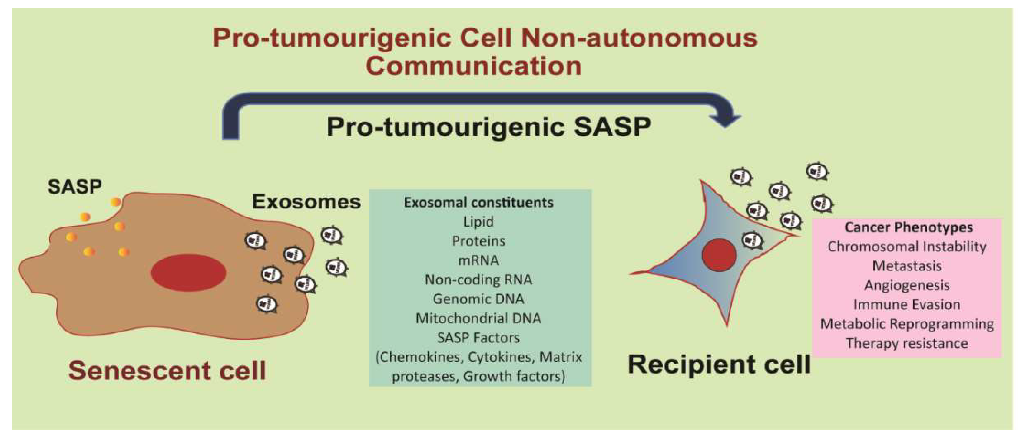 Ijms 20 02547 g006 Ijms 20 02547 g006