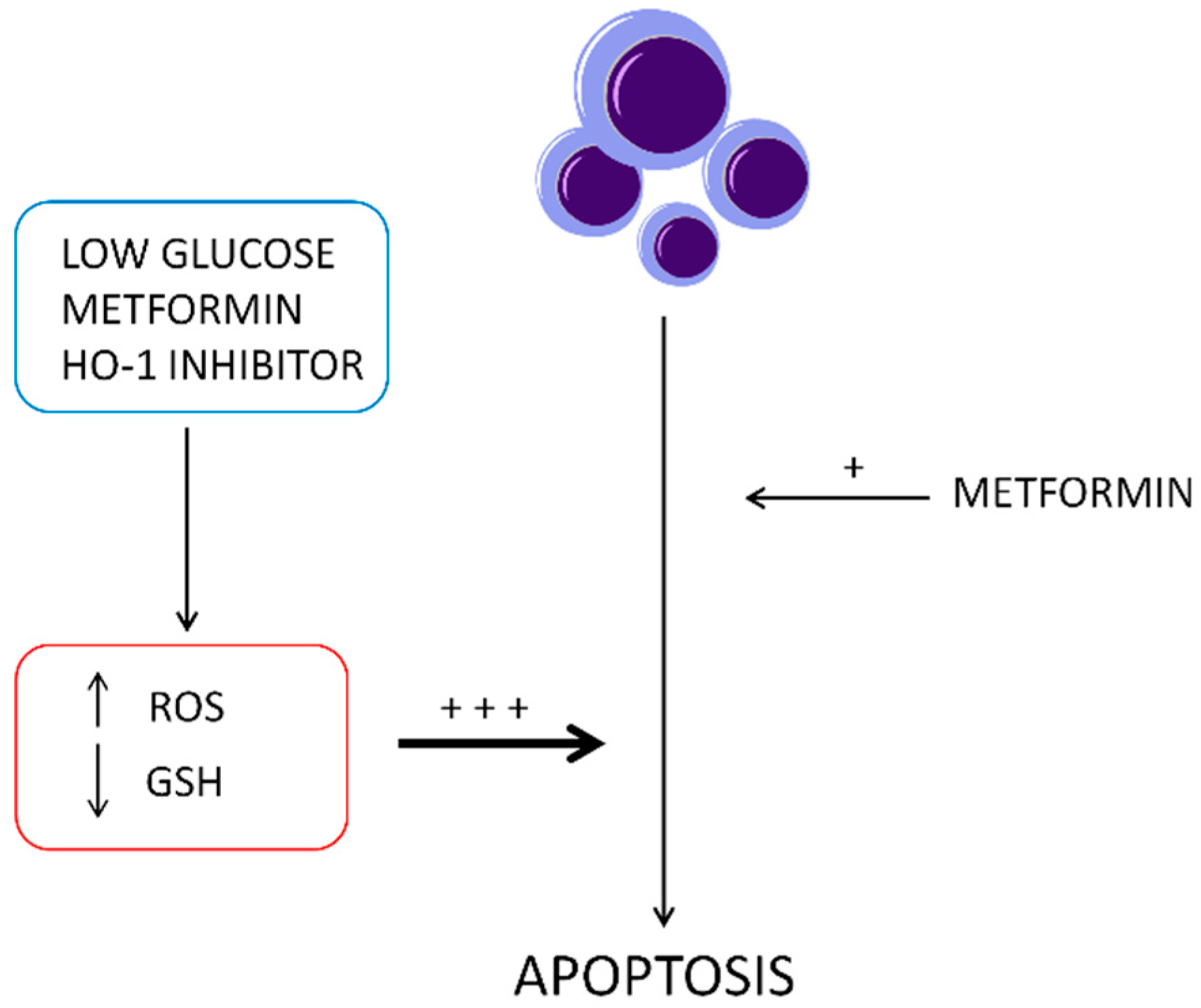 Ijms 20 02593 g007