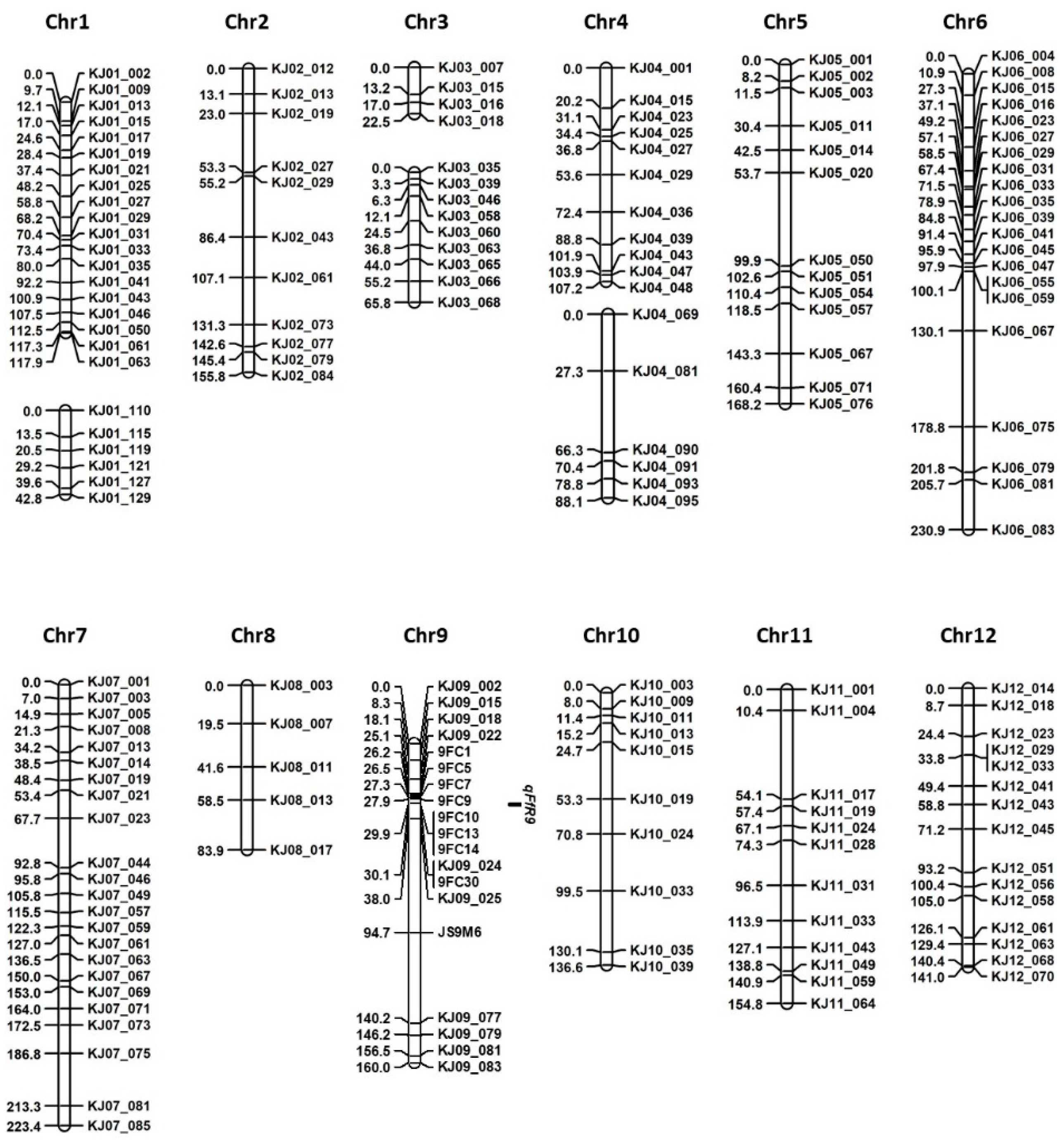 Ijms 20 02598 g003