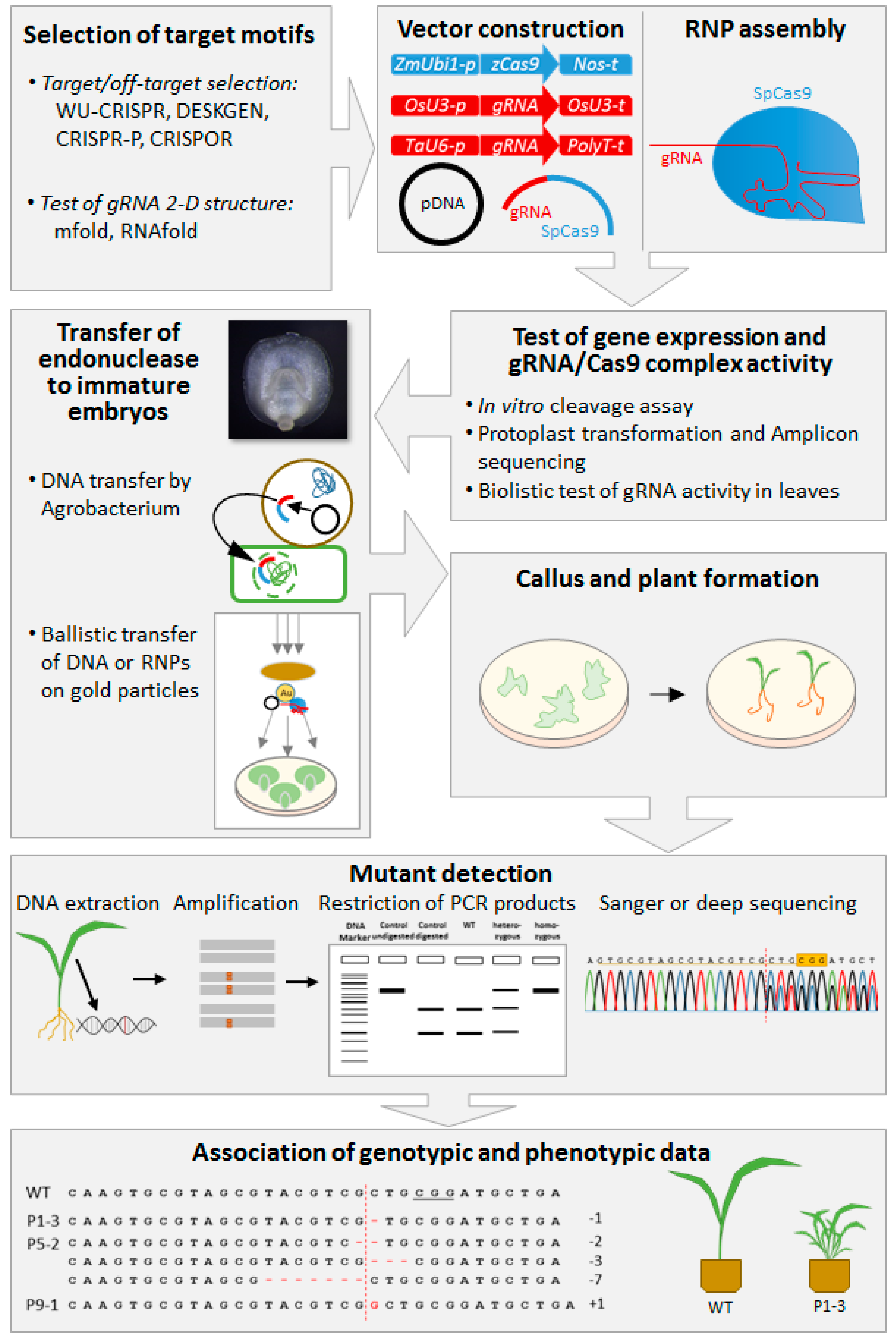 Ijms 20 02647 g001 Ijms 20 02647 g001
