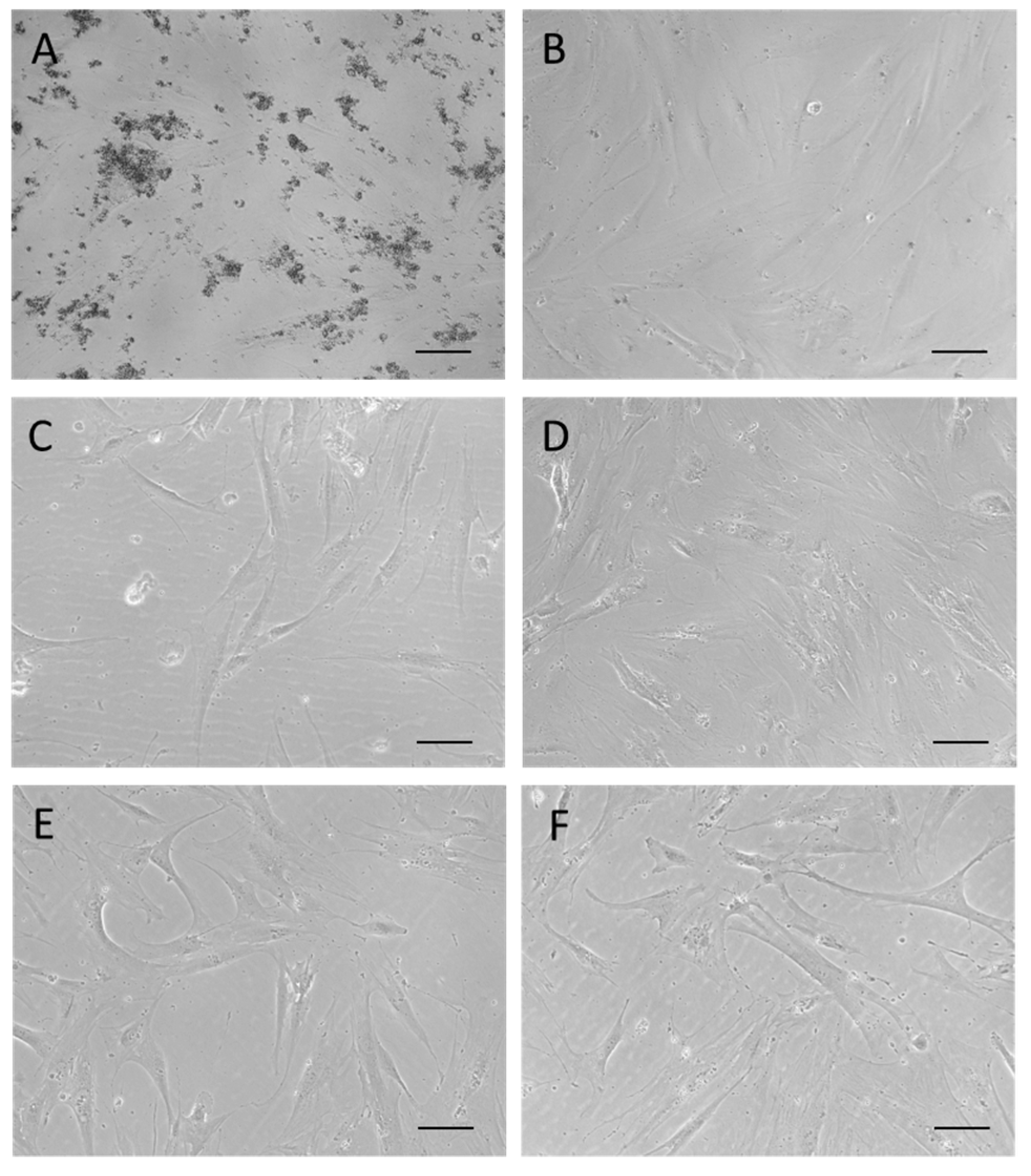 Ijms 20 02669 g007