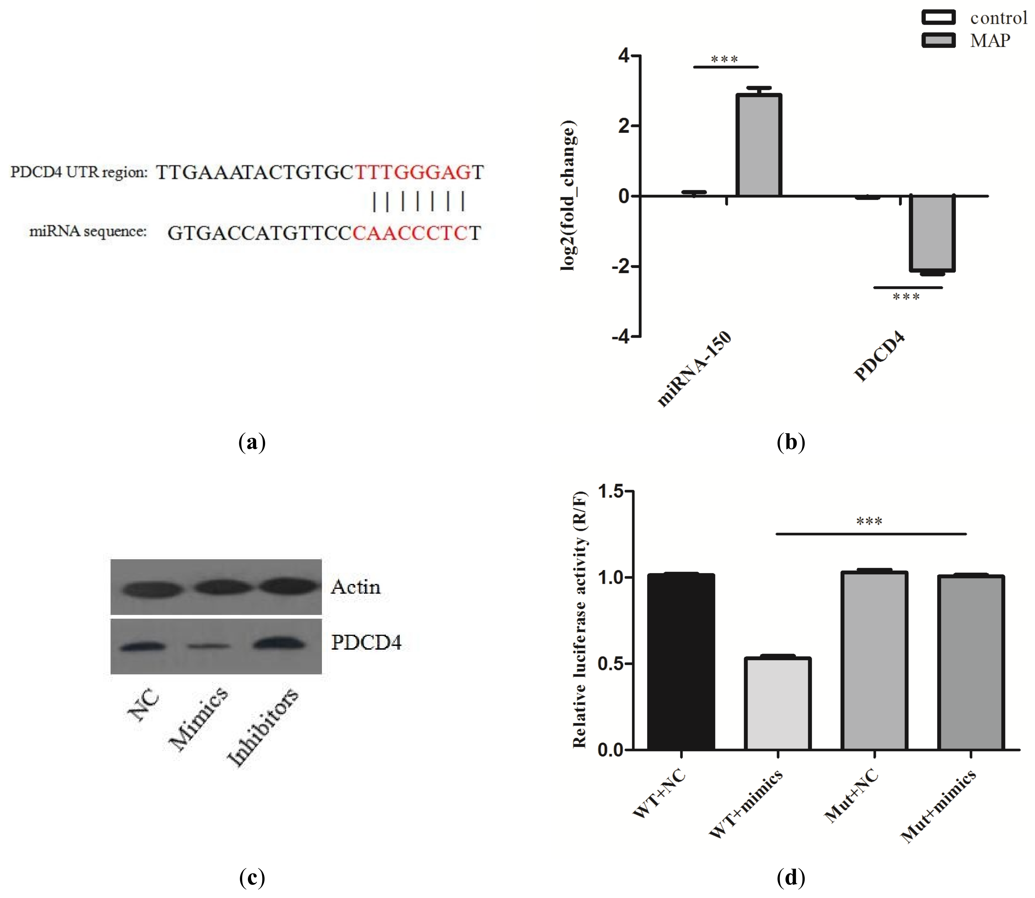 Ijms 20 02708 g003 Ijms 20 02708 g003