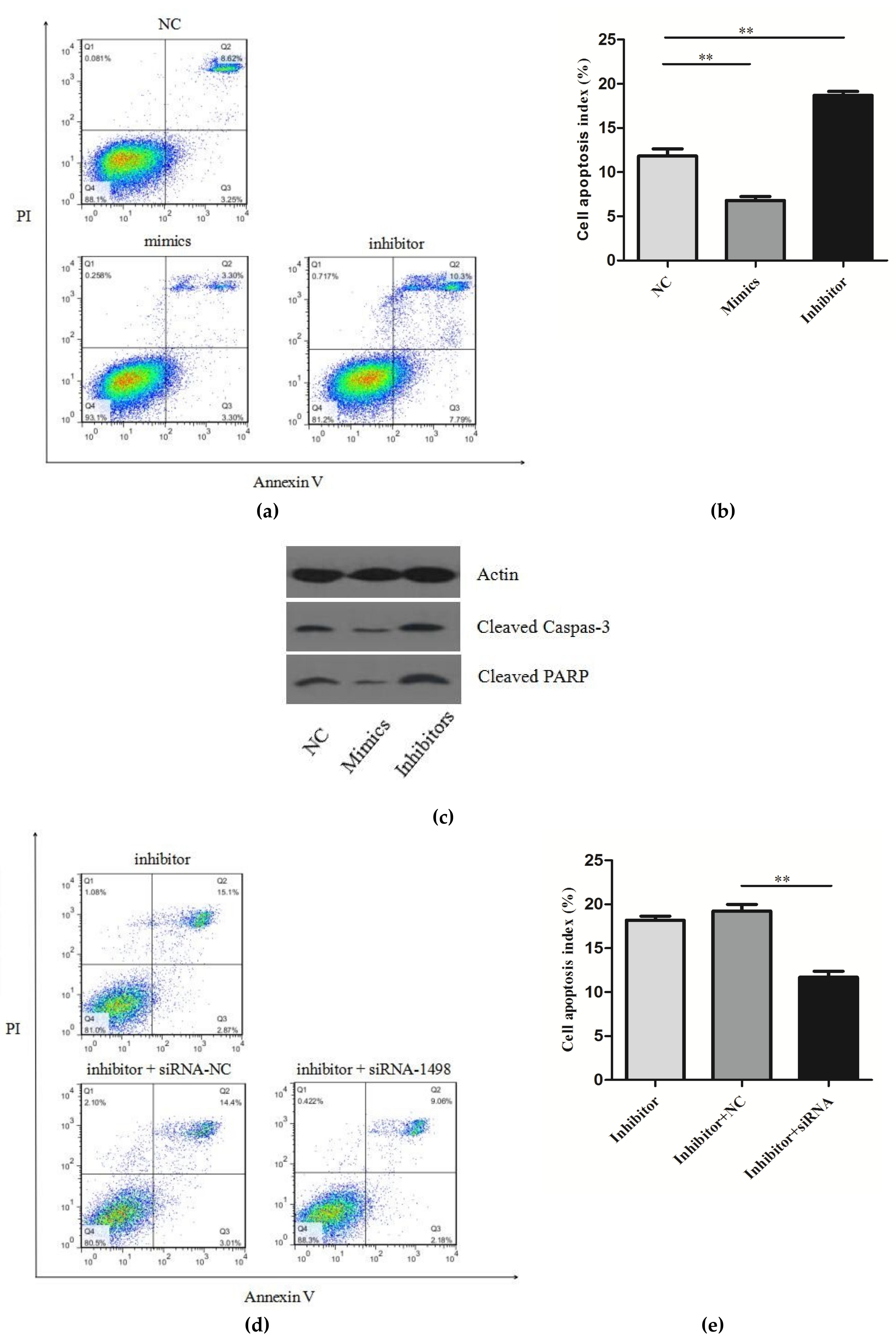 Ijms 20 02708 g004 Ijms 20 02708 g004