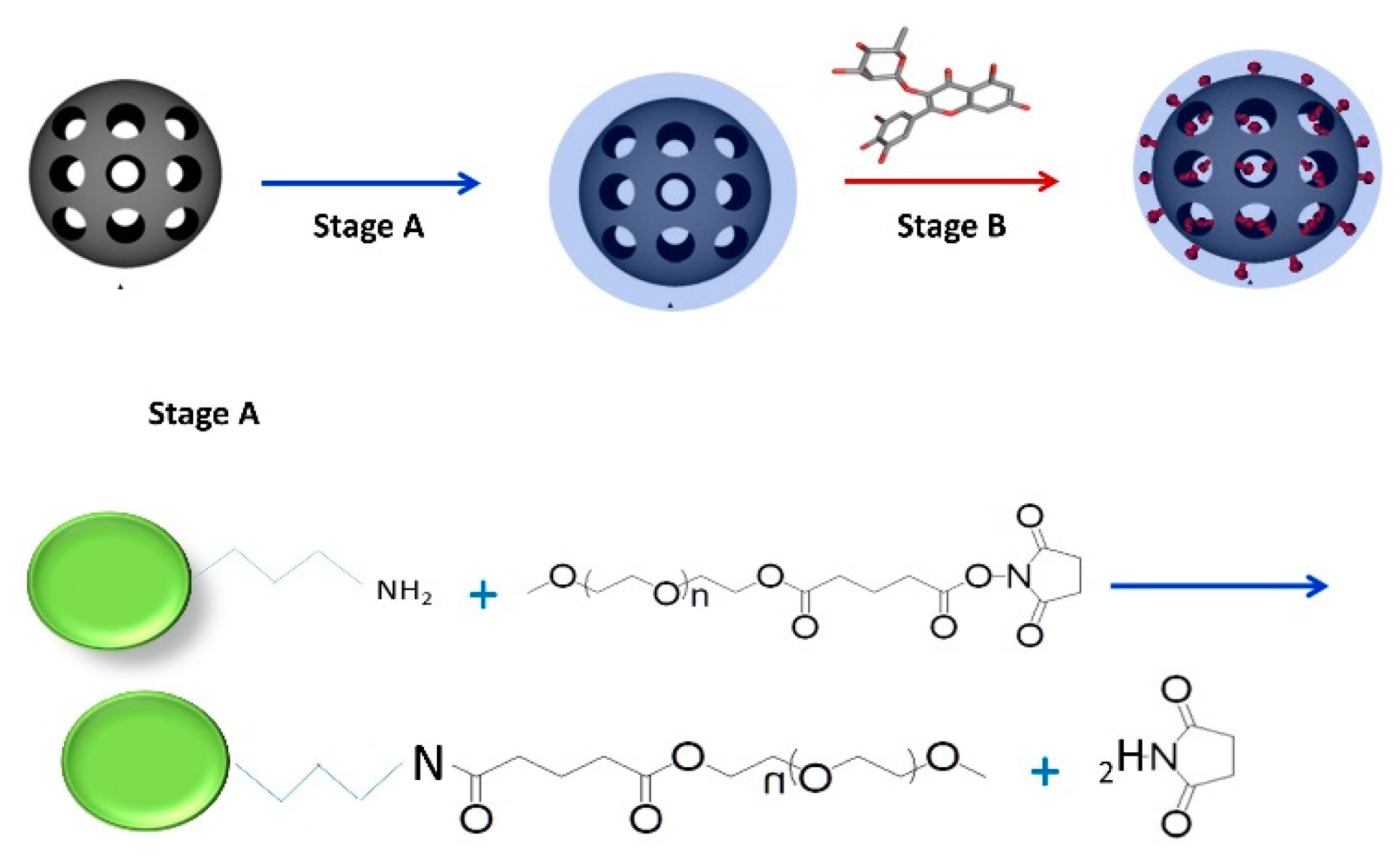 Ijms 20 02709 g001 Ijms 20 02709 g001
