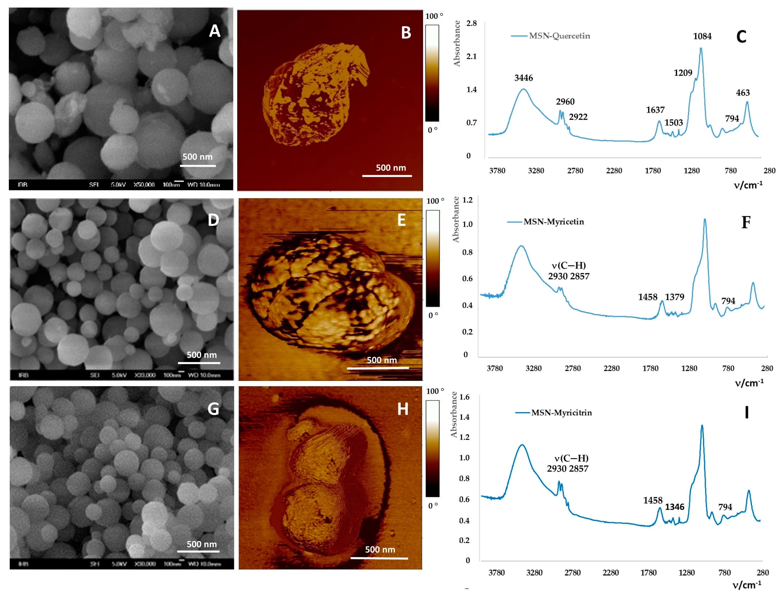 Ijms 20 02709 g004 Ijms 20 02709 g004